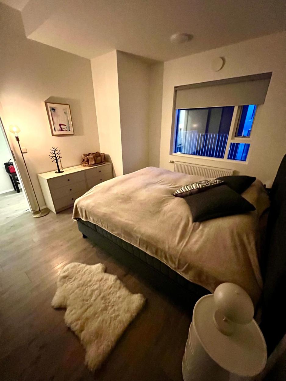 市中心现代豪华公寓（Modern Luxury Apartment Downtown）