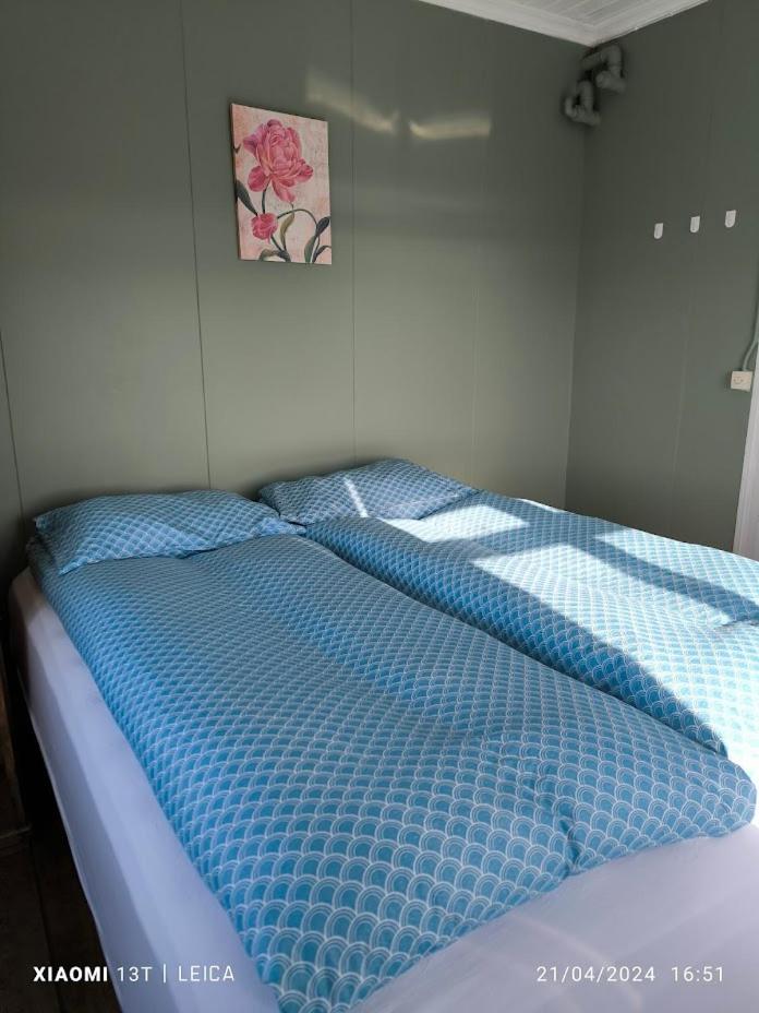 海湾幸福旅馆 - 靠海而居（Happy-Cove Guesthouse - by the Sea）