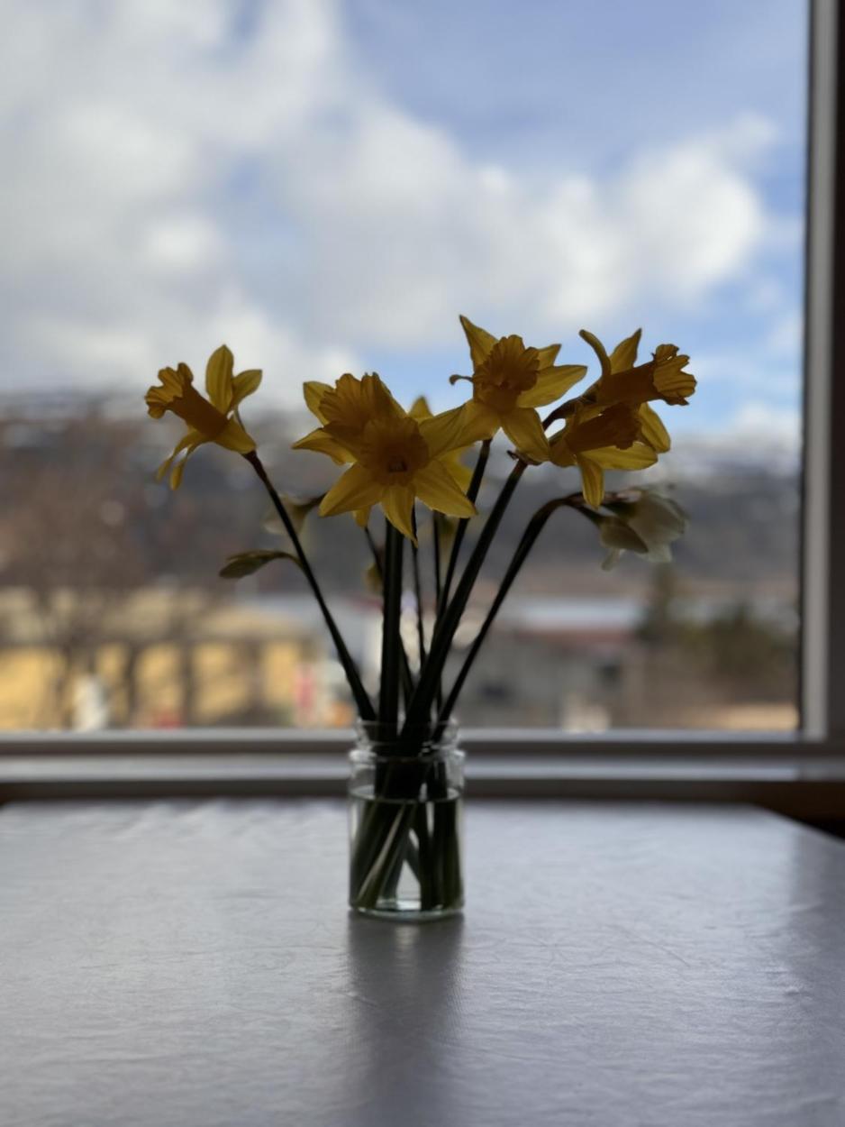 Guesthouse Tálknafjörður