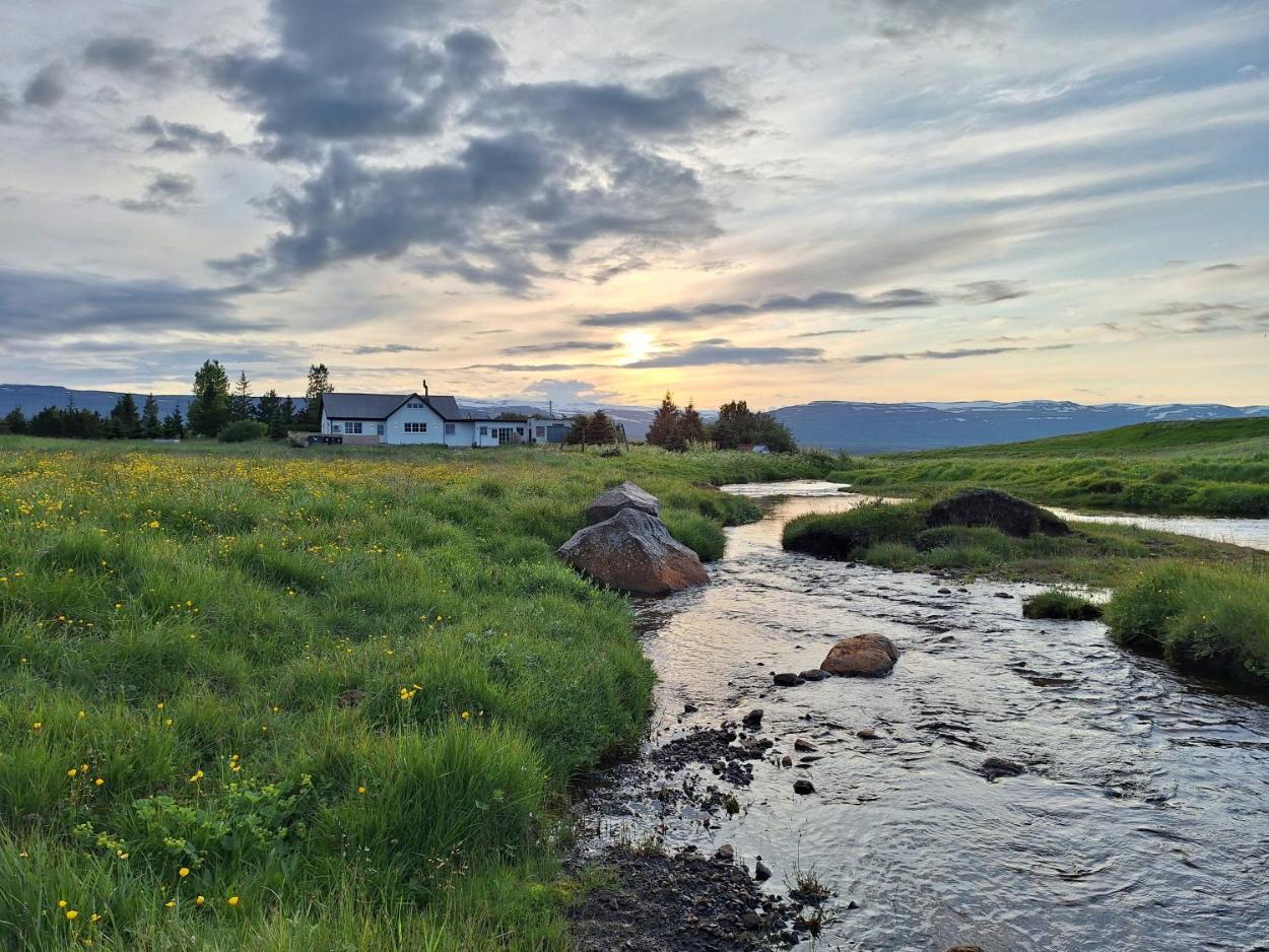 Hallfreðarstaðir 1 Apartments