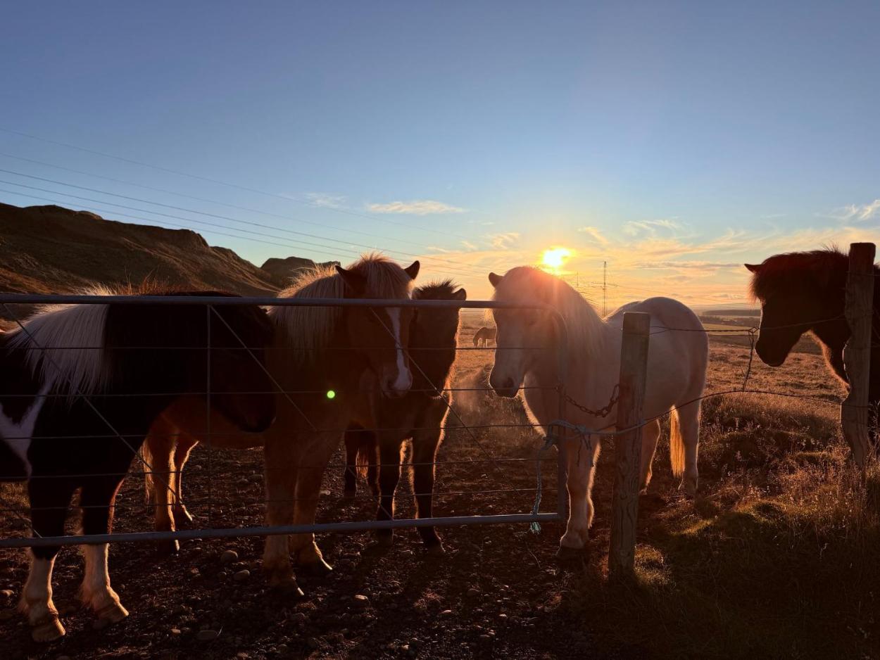 AU44小屋（AU44 Cottages）