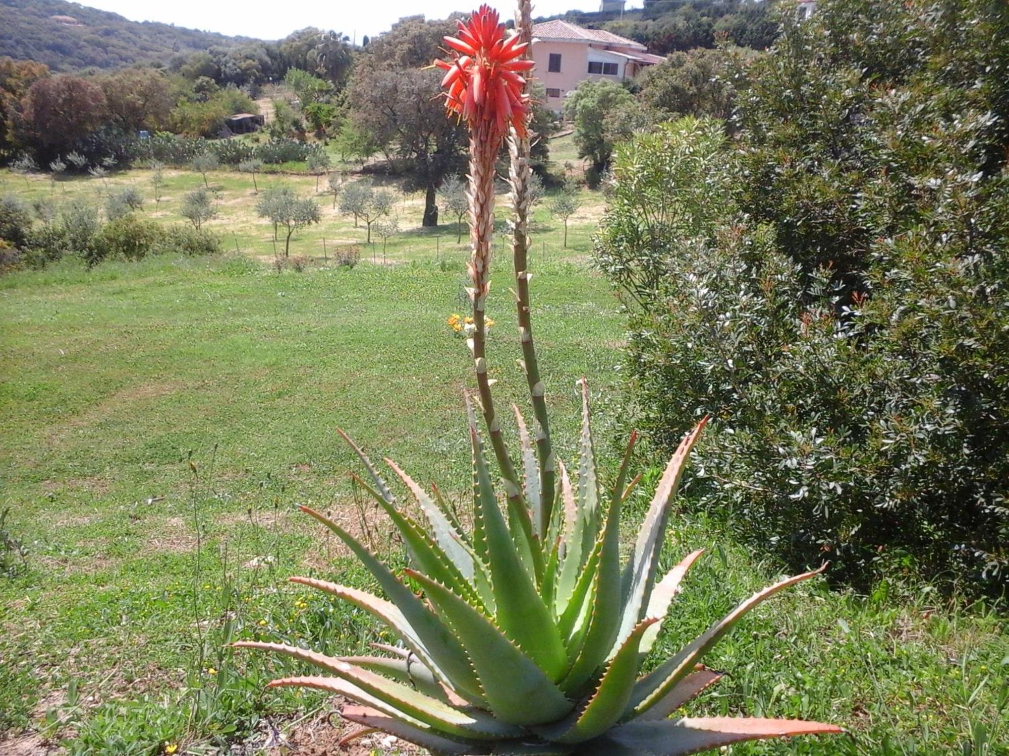 6. Agriturismo Valverde Di Naitana Rita