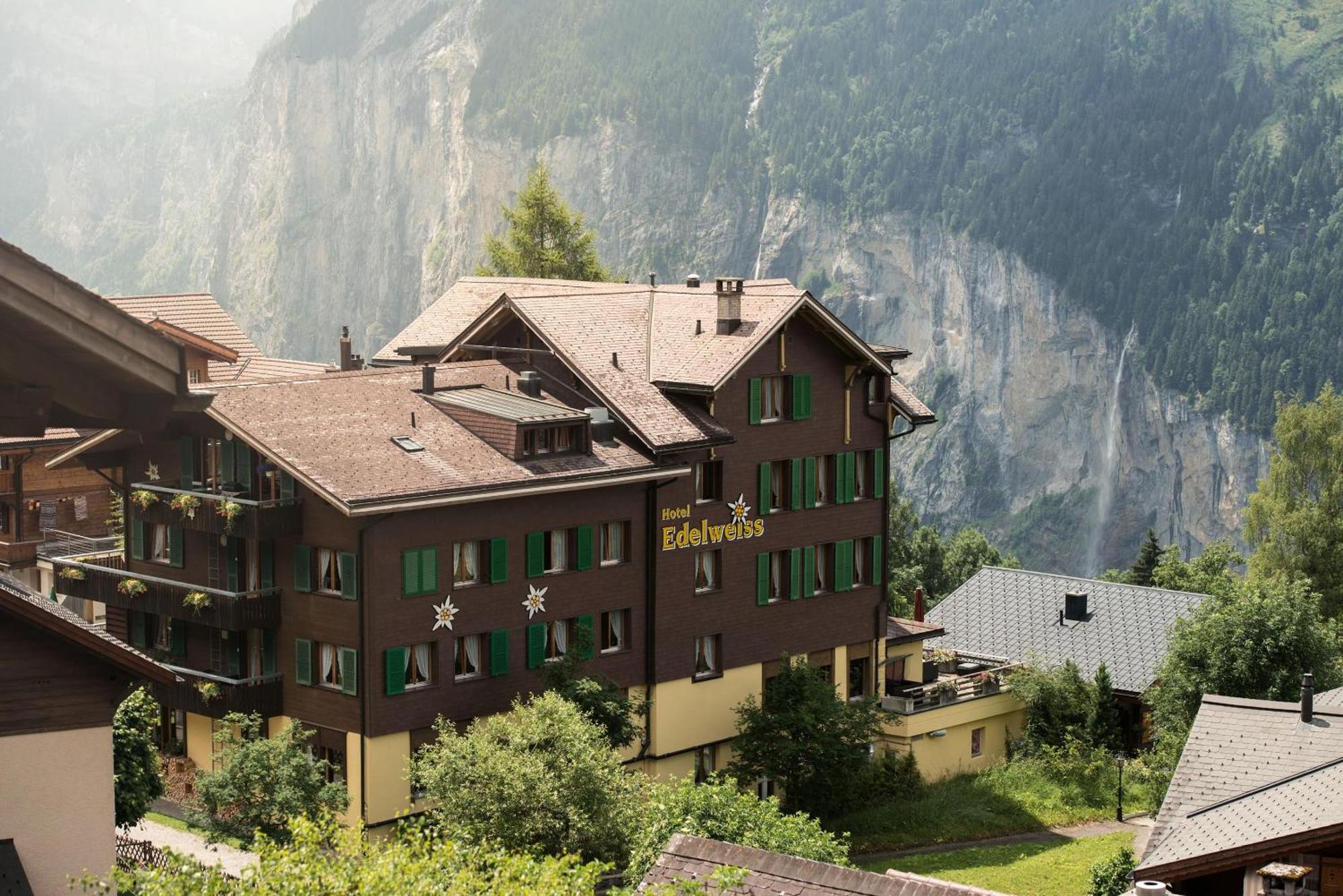 9. Edelweiss