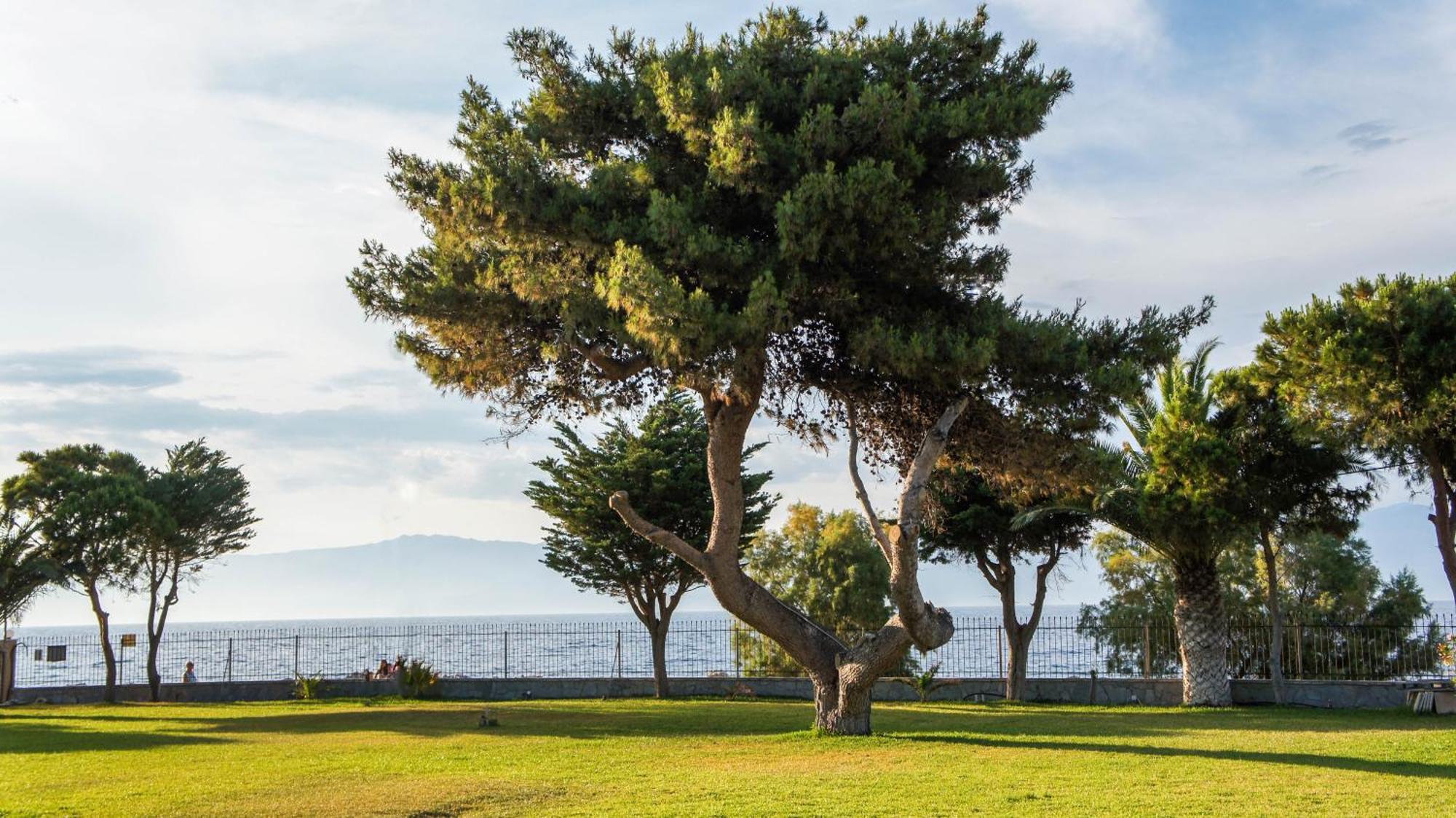 Top 10 Places To Stay in Aigio