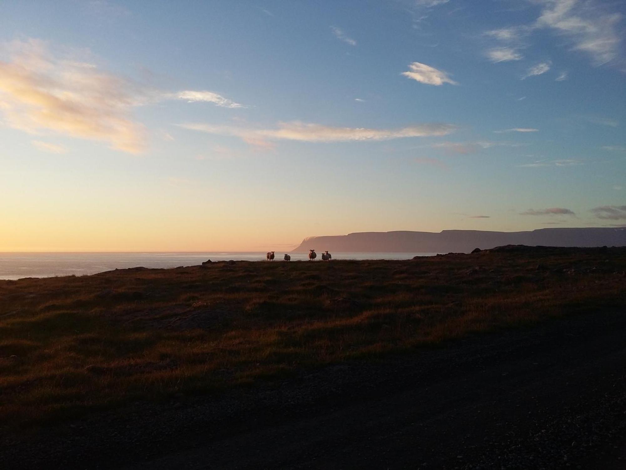 海努维克小屋（Haenuvik Cottages）