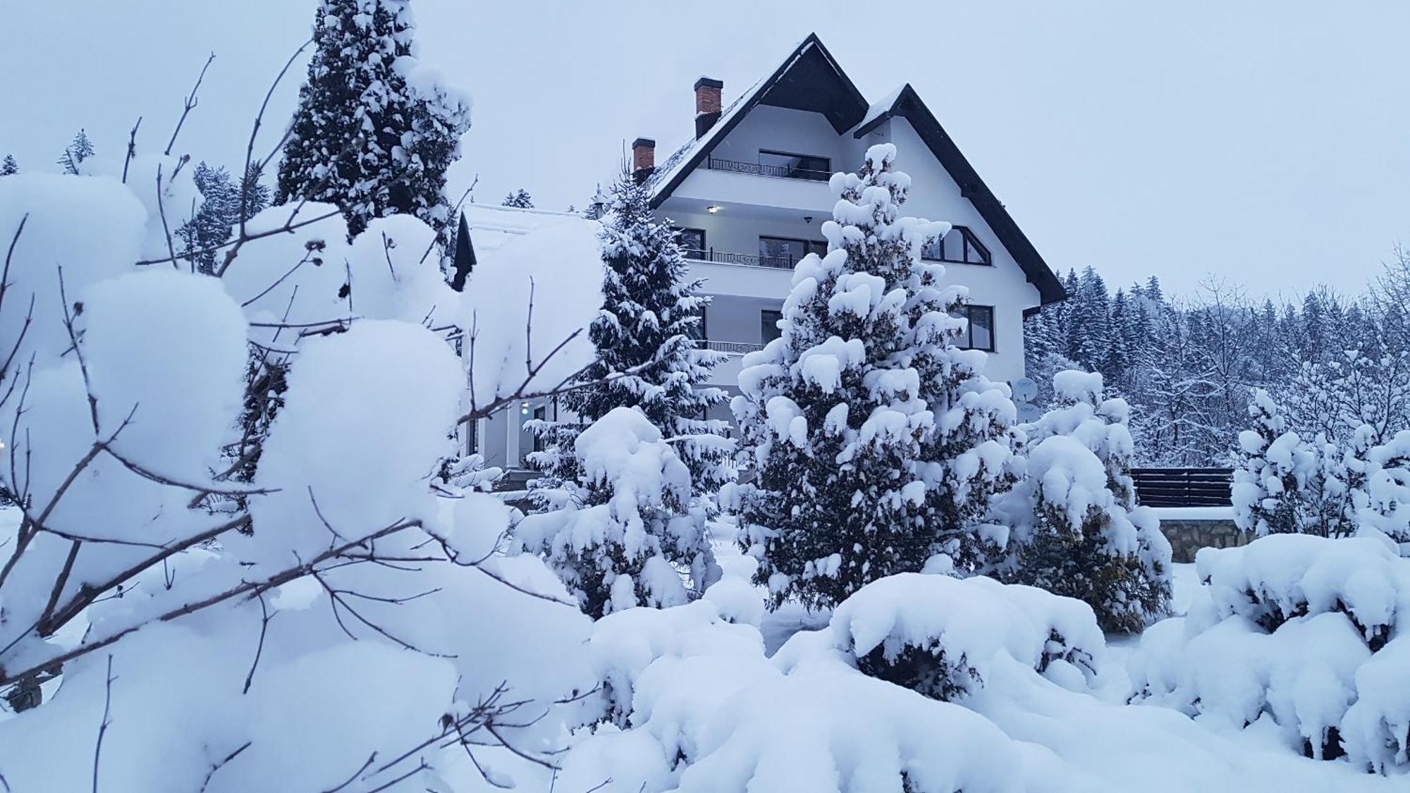 Top 10 Places To Stay in Piatra Neamț