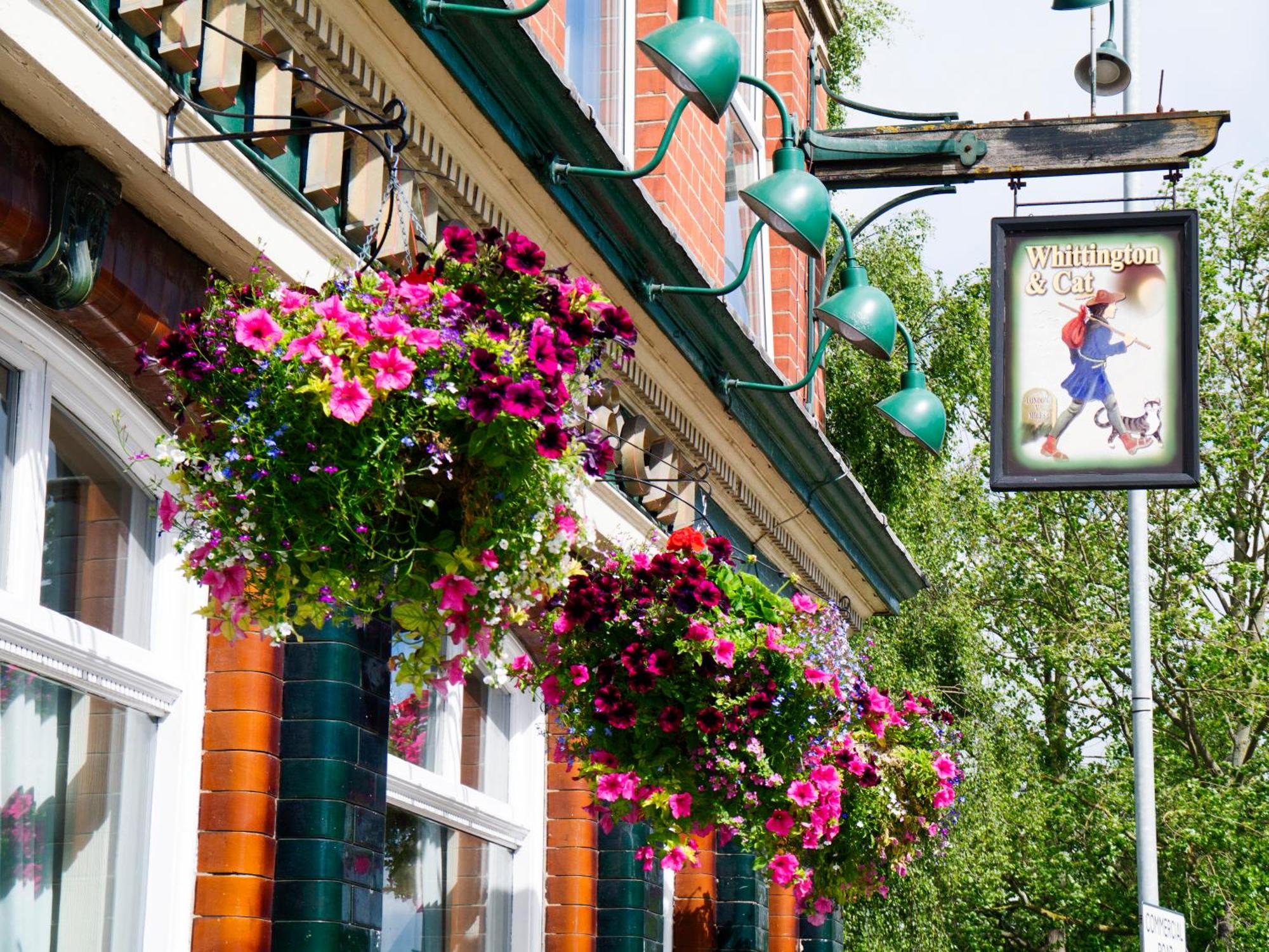 1. The Whittington & Cat