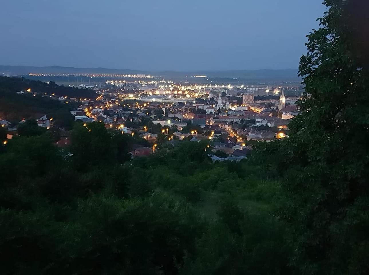 1. Pensiunea Bella Vista