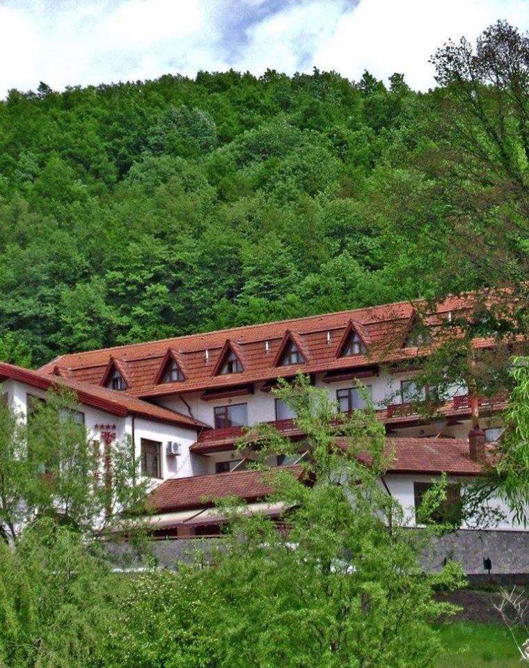 9. Hotel Mcpietroasa