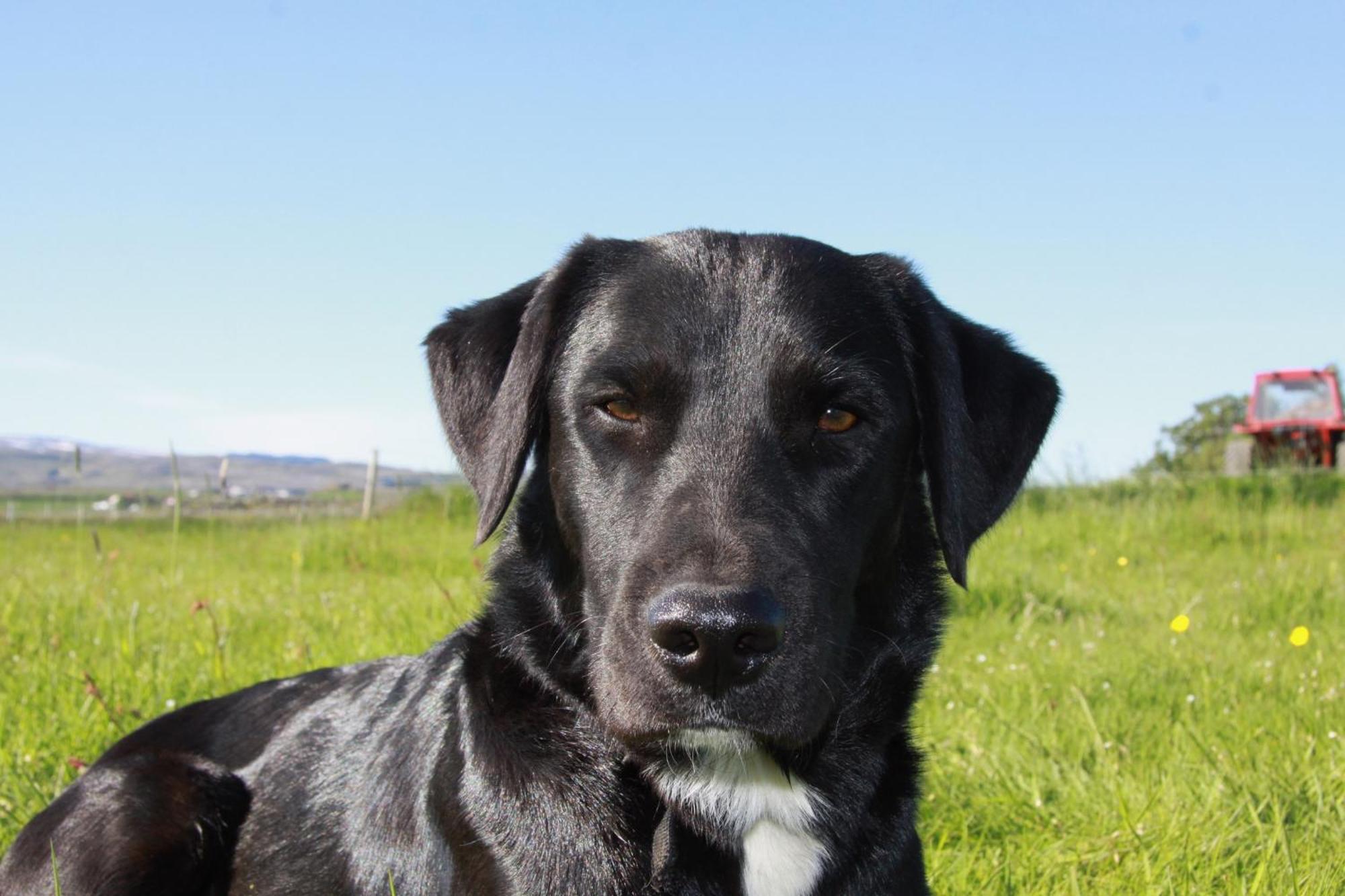 ランダルファーム Cabin 2(Lundar Farm Cabin 2)