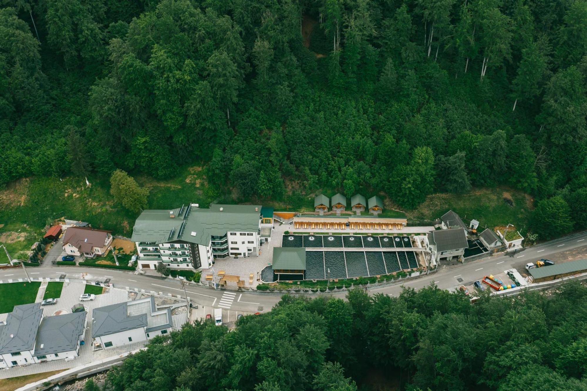 3. Complex Lostrita