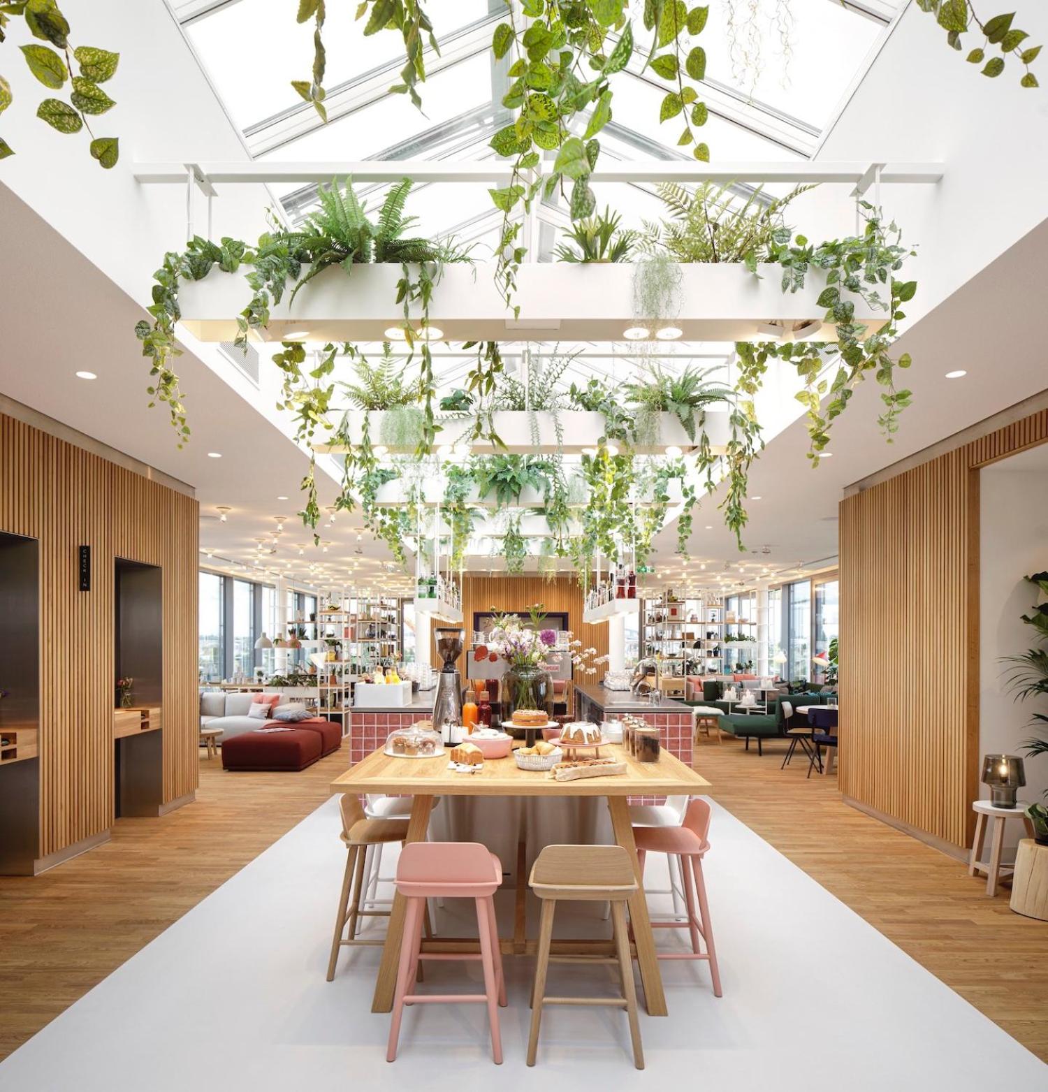 5. Zoku Vienna