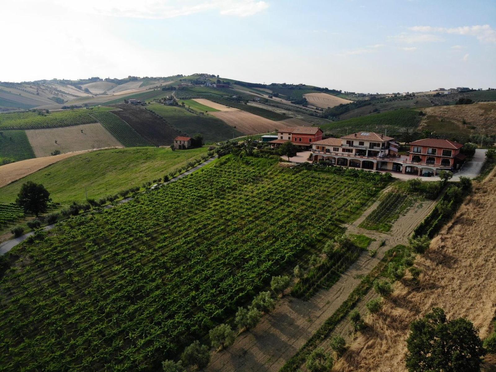 6. Agriturismo Emidio Pepe