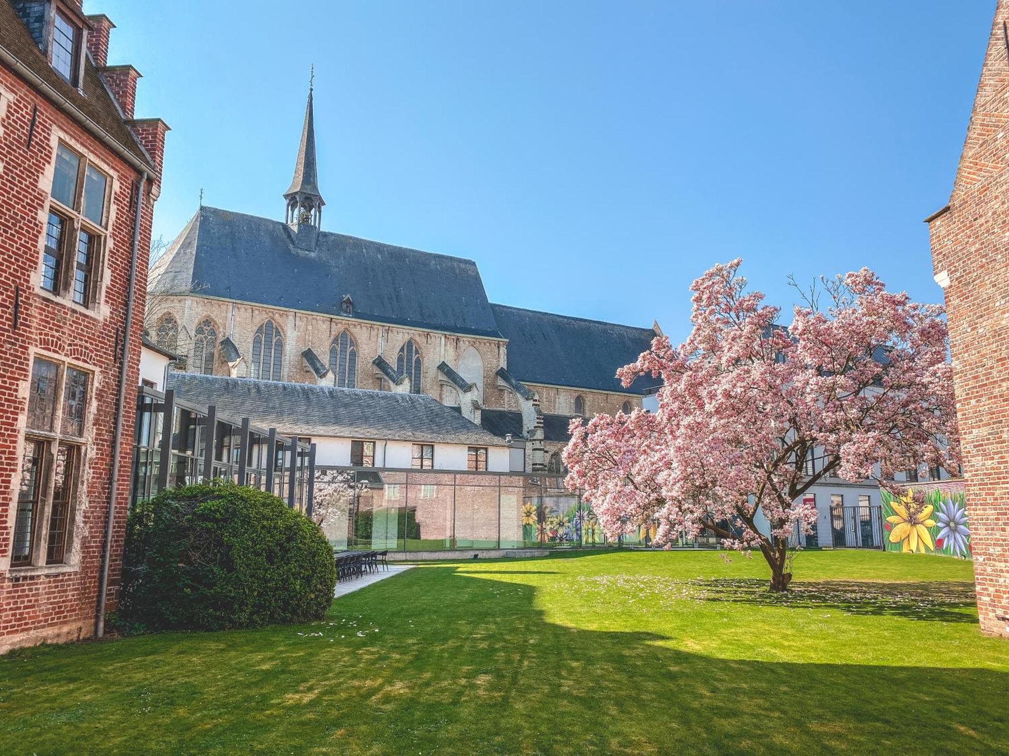 5. Martin's Klooster