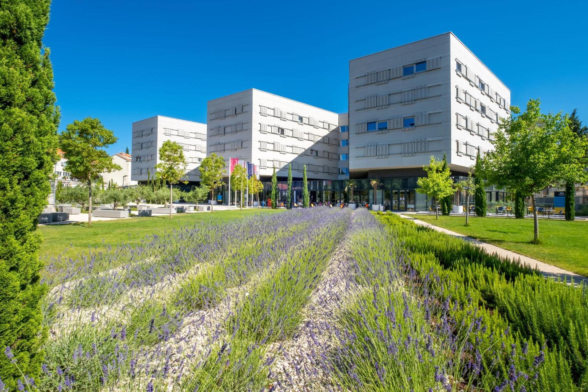 7. Akademis Academia