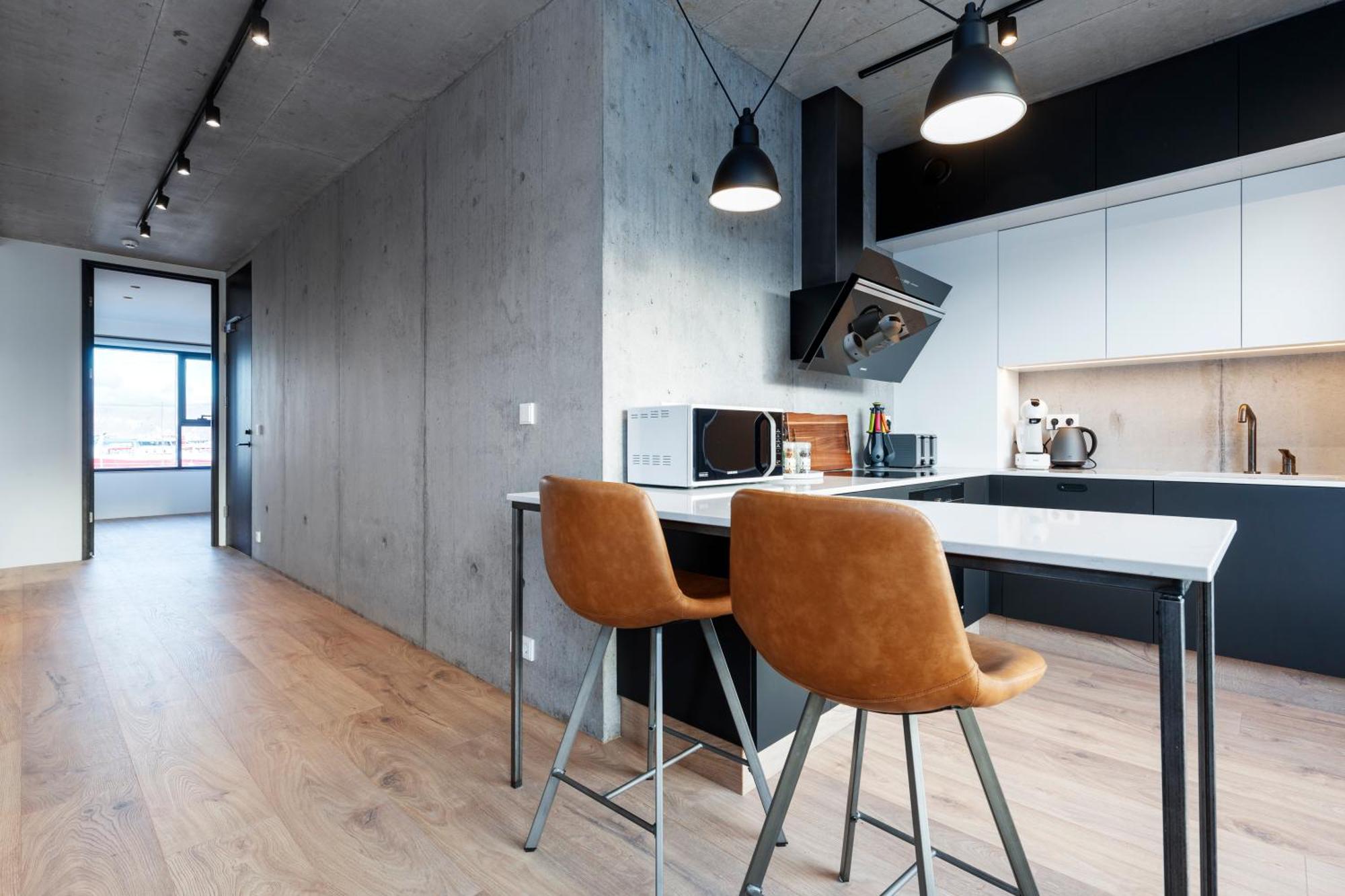 Picture Idea: Blue Viking Apartments Reykjavik Beste Prijzen 2026