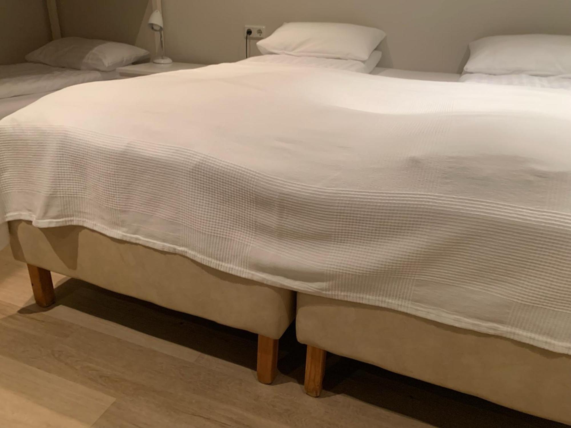 塞济斯菲厄泽宾馆 | Seydisfjordur Guesthouse