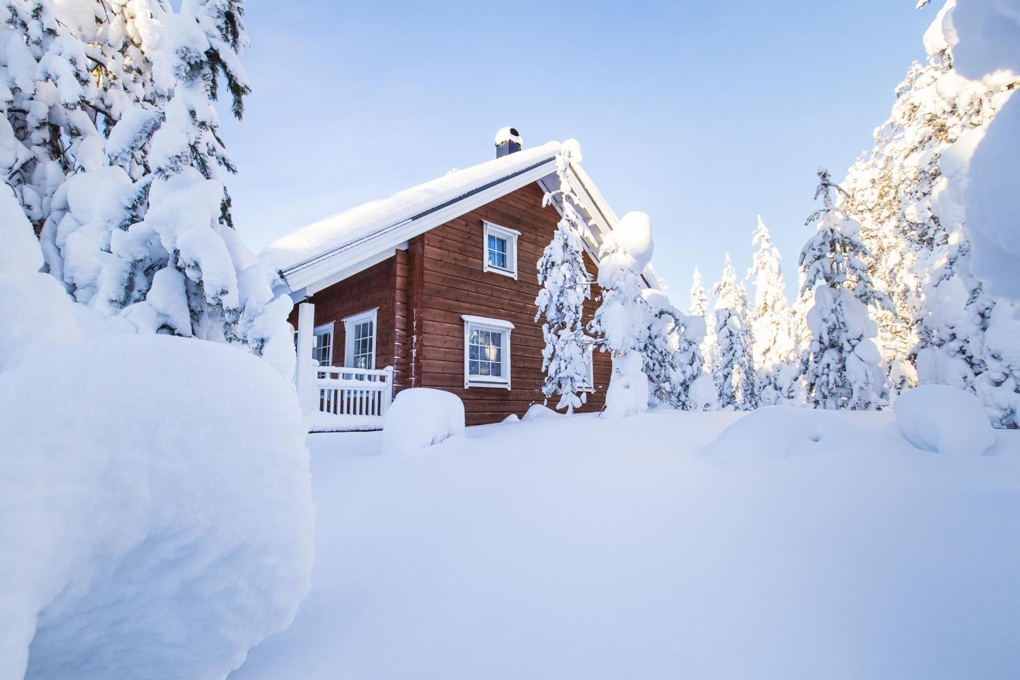 9. Arctic Circle Holiday homes II