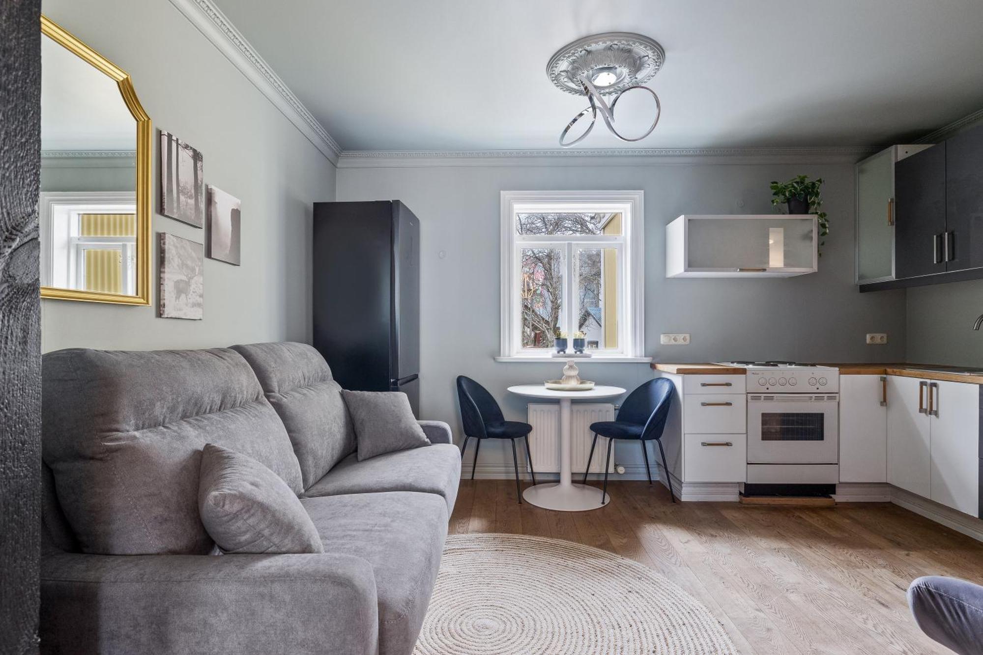 雷克雅未克市中心公寓(The Center of Downtown Reykjavík)