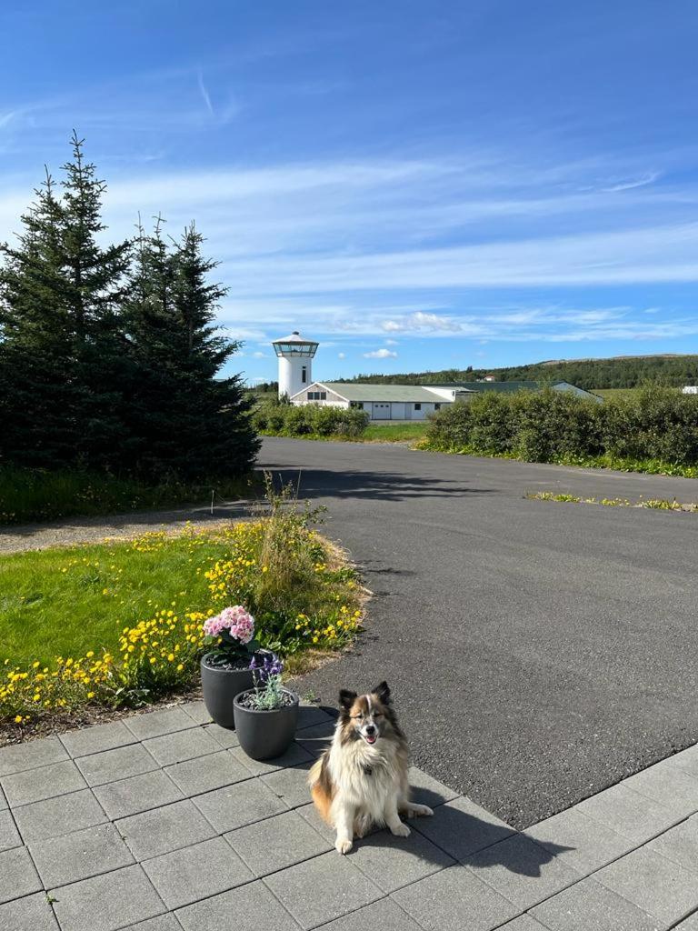 Laugavellir Tower Suite