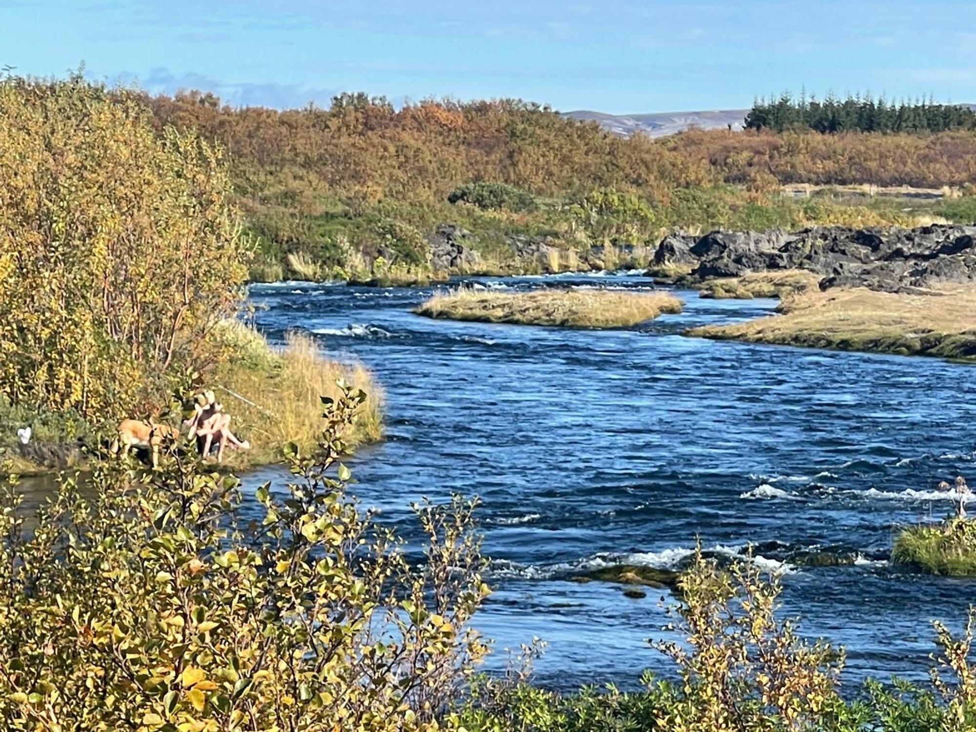 Northern Lights Cabin, Riverside, Mountain View
