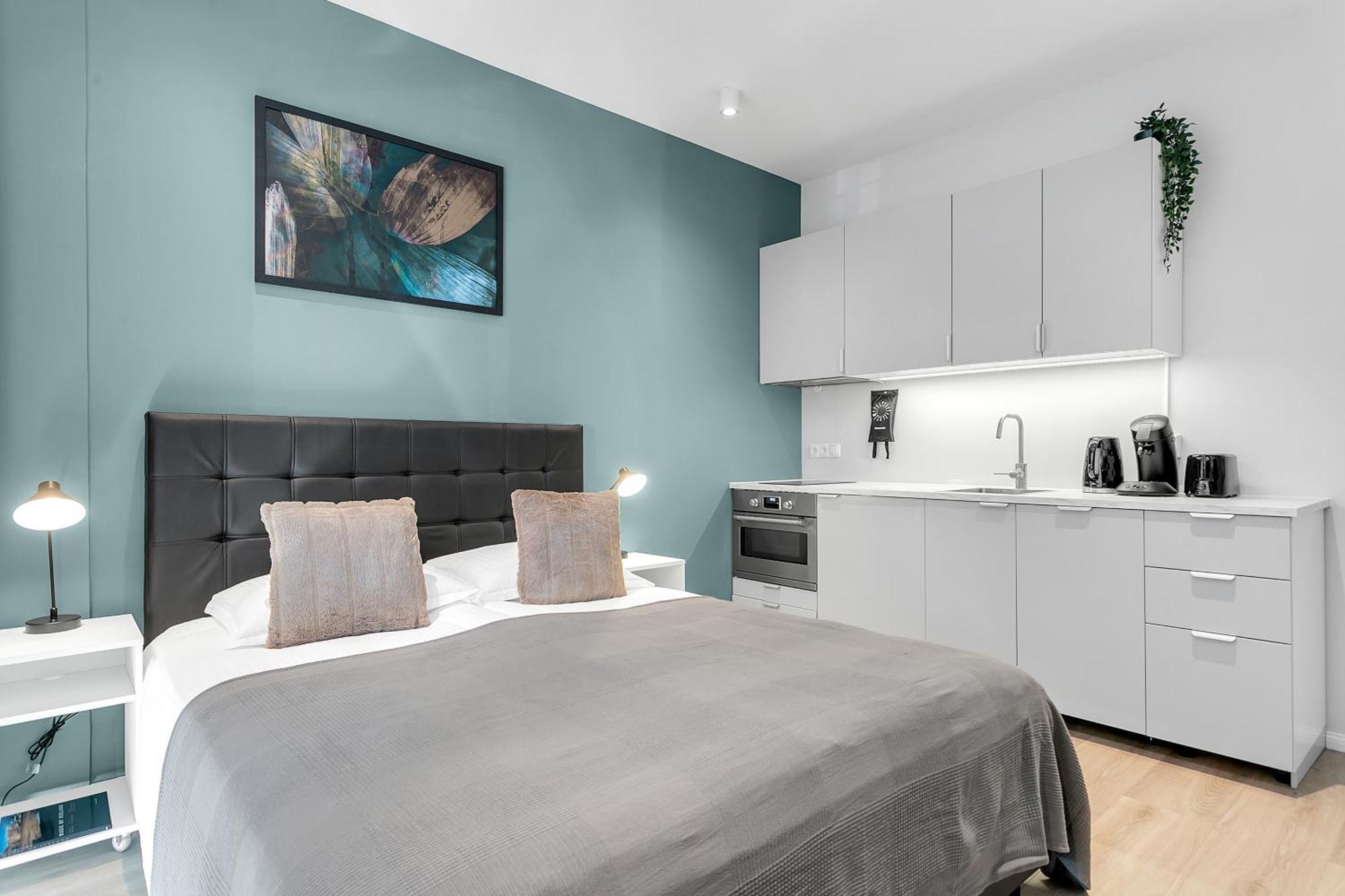 雷克雅未克市中心现代公寓(Modern Studio in Downtown Reykjavík)