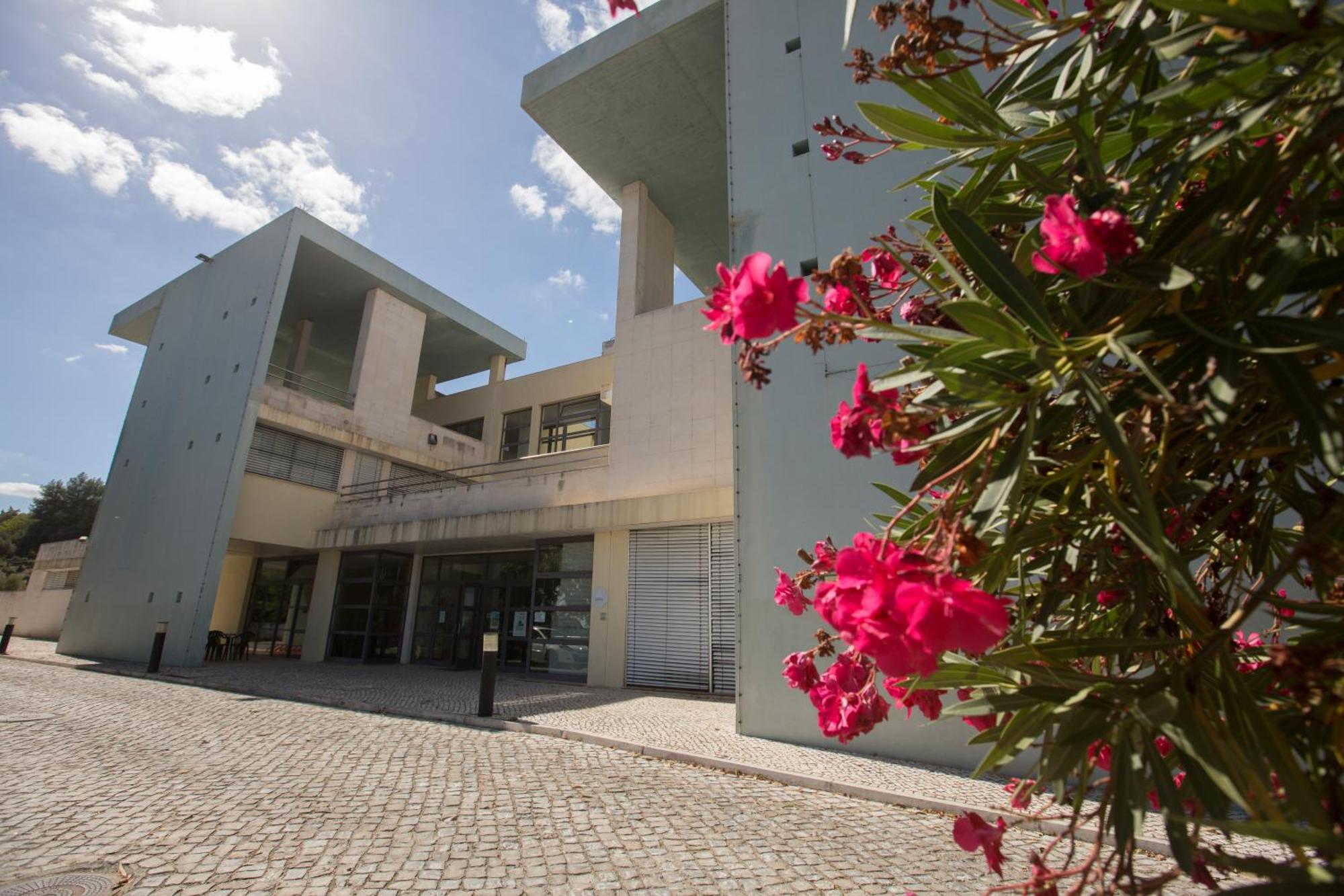 8. Pousada De Juventude De Abrantes