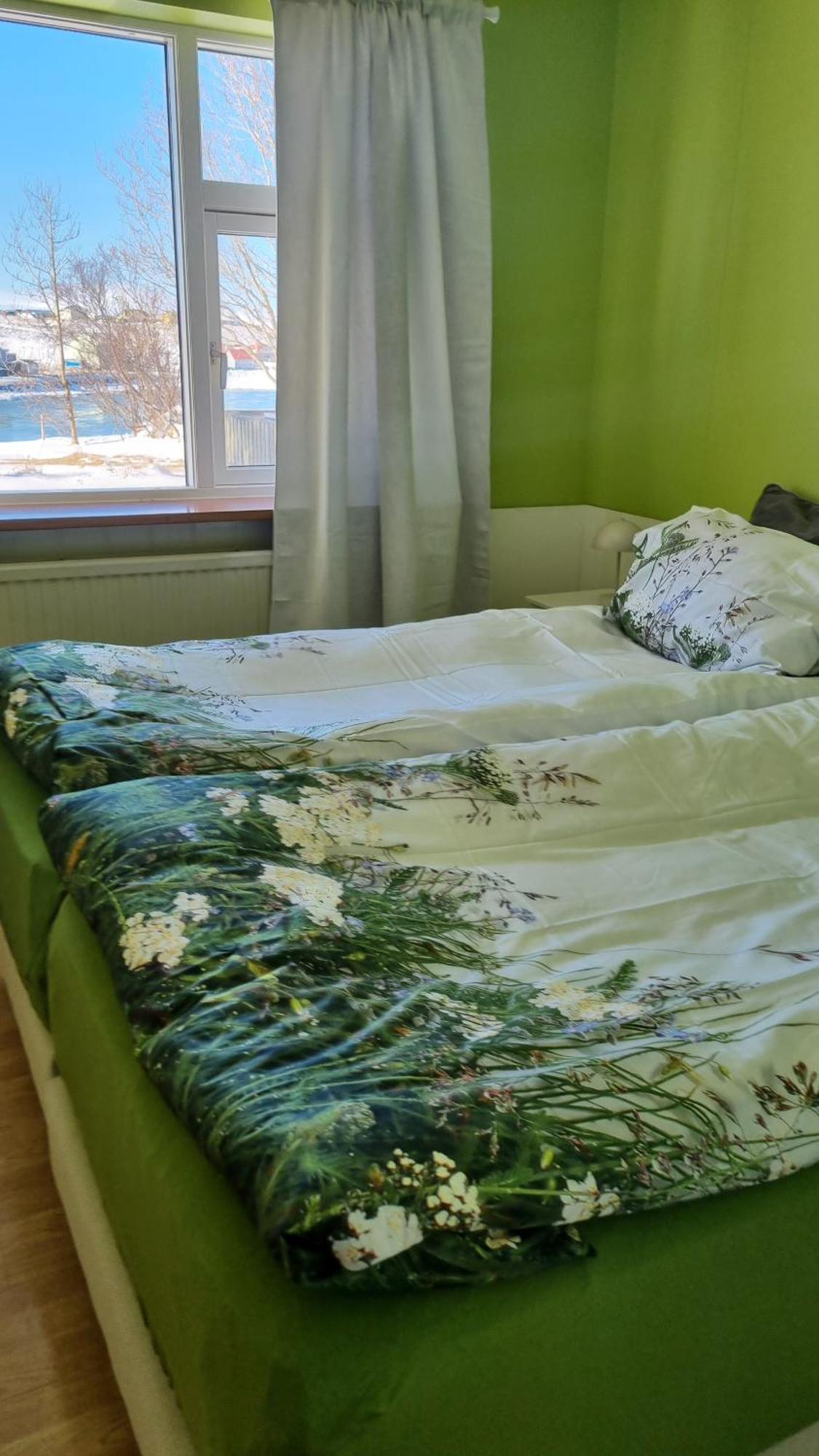 Fornilaekurゲストハウス（Fornilaekur Guesthouse）