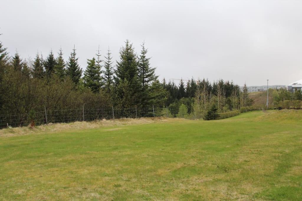 静谧温馨湖景公寓（Quiet and Cozy Apartment with a Lake View）