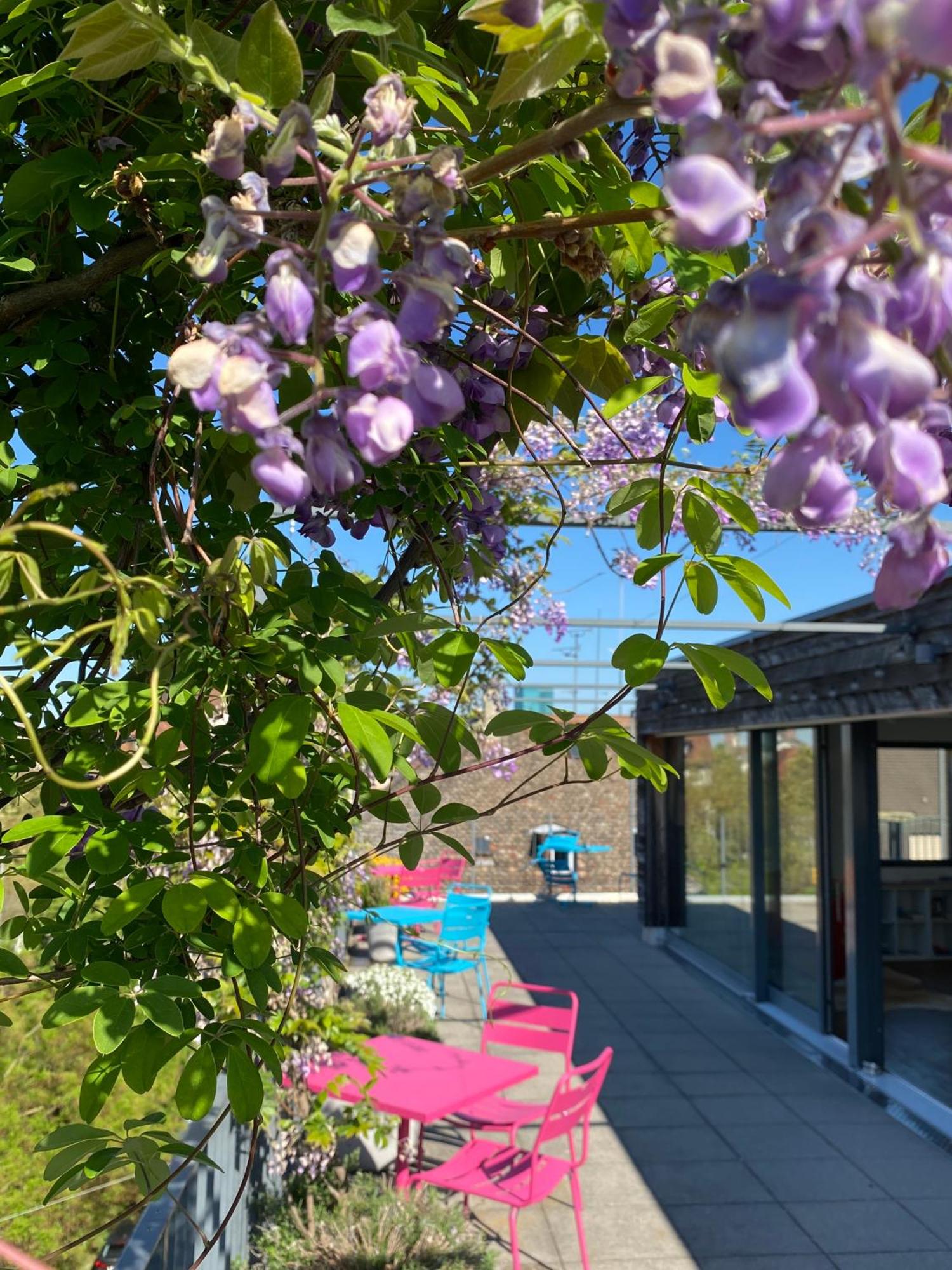 Top 10 Places To Stay in Zurich