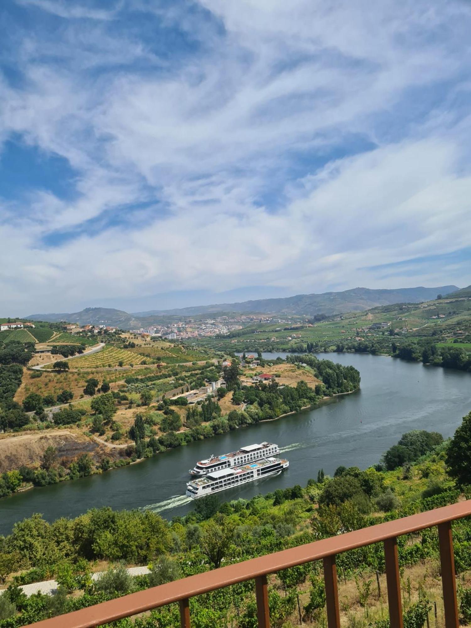 4. Delfim Douro