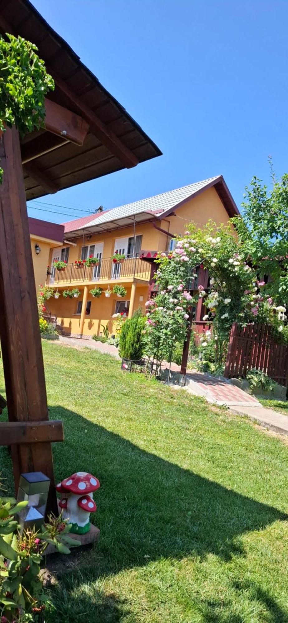 7. Casa Dina