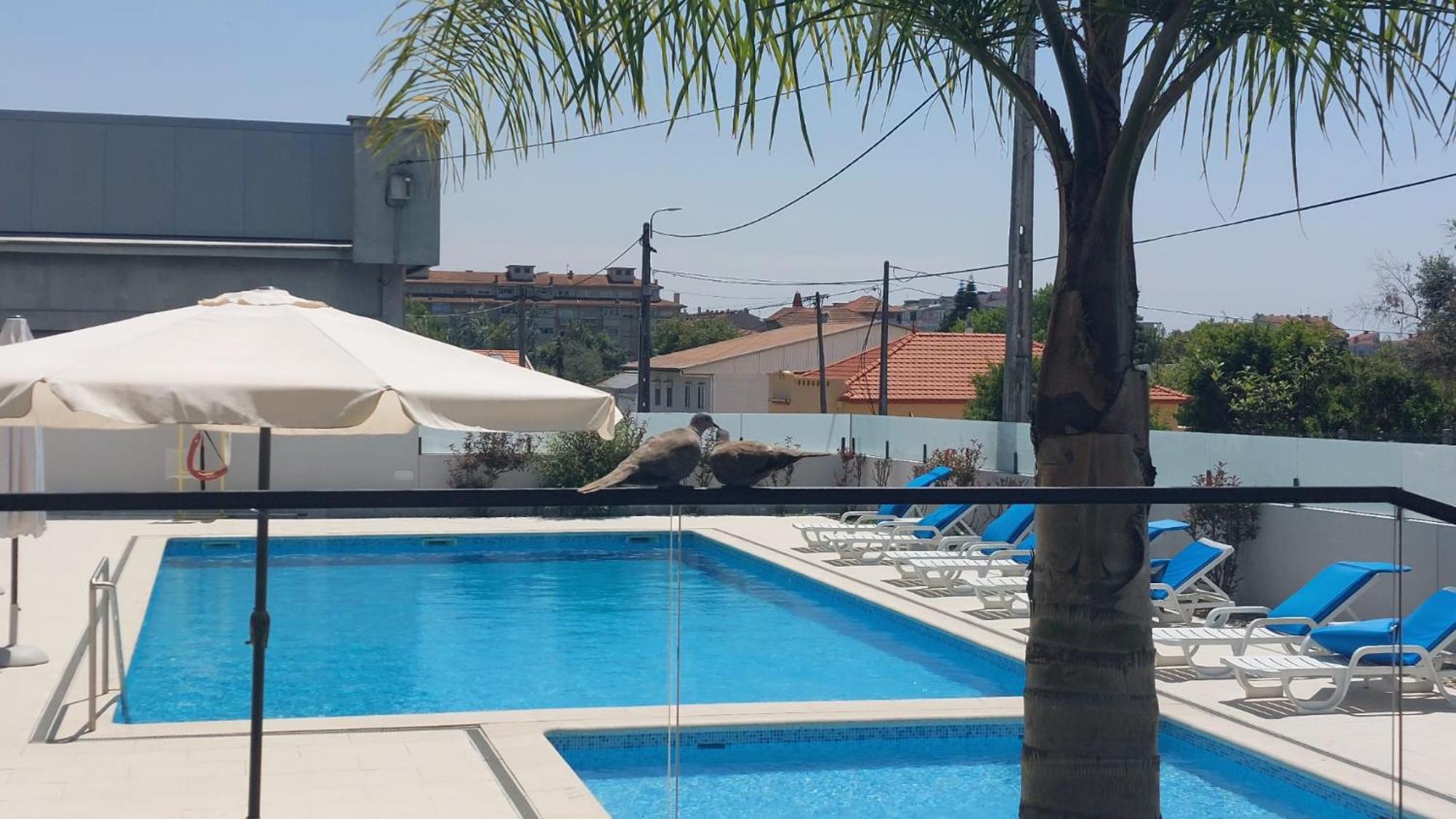 9. Monte Lirio Hotel