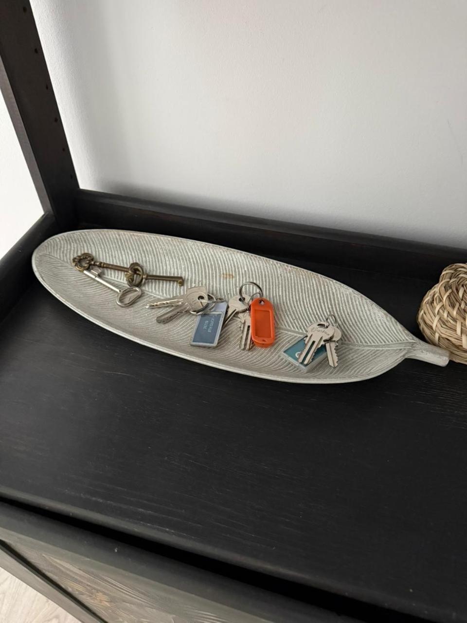 5. Silêncio e campo na cidade