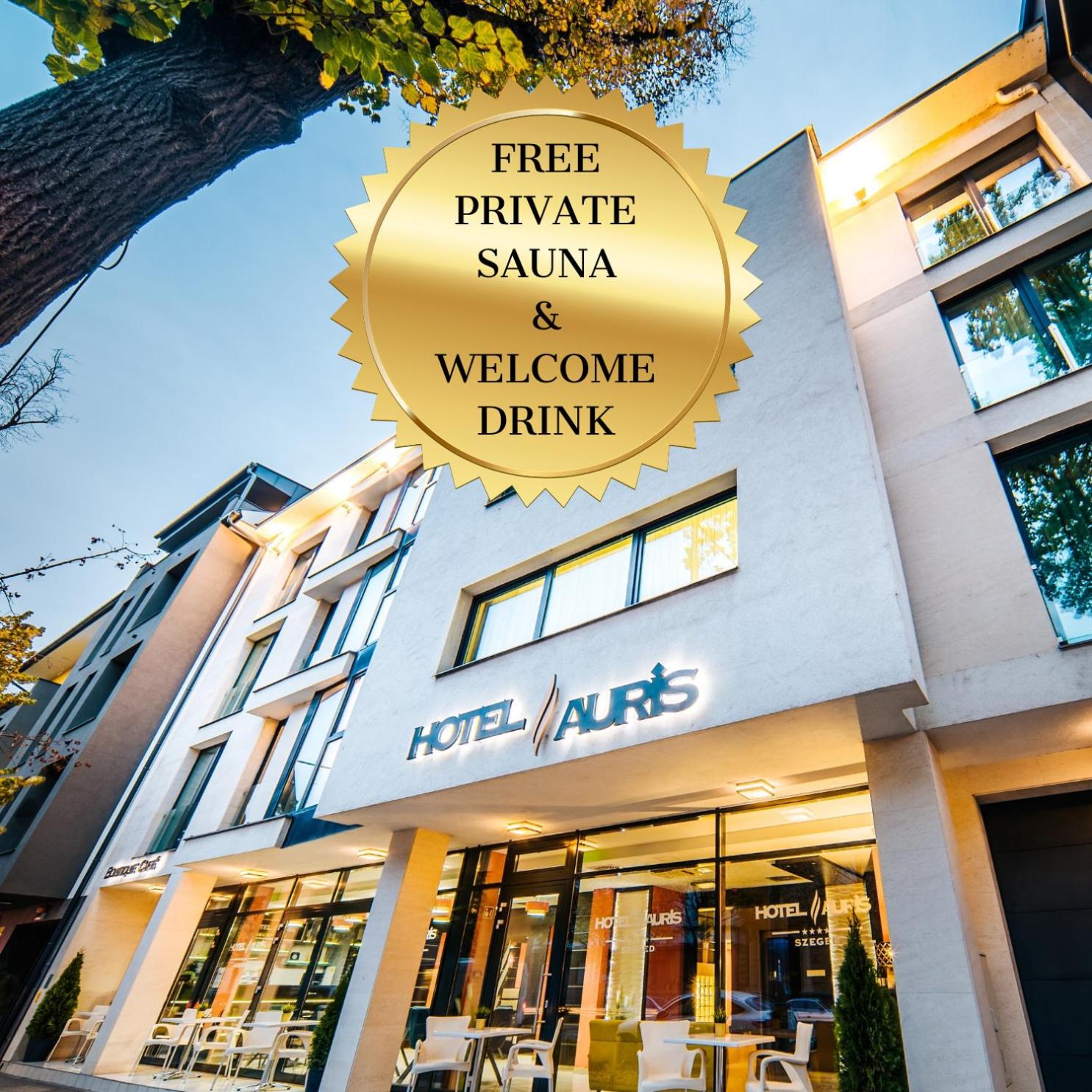1. Auris Hotel