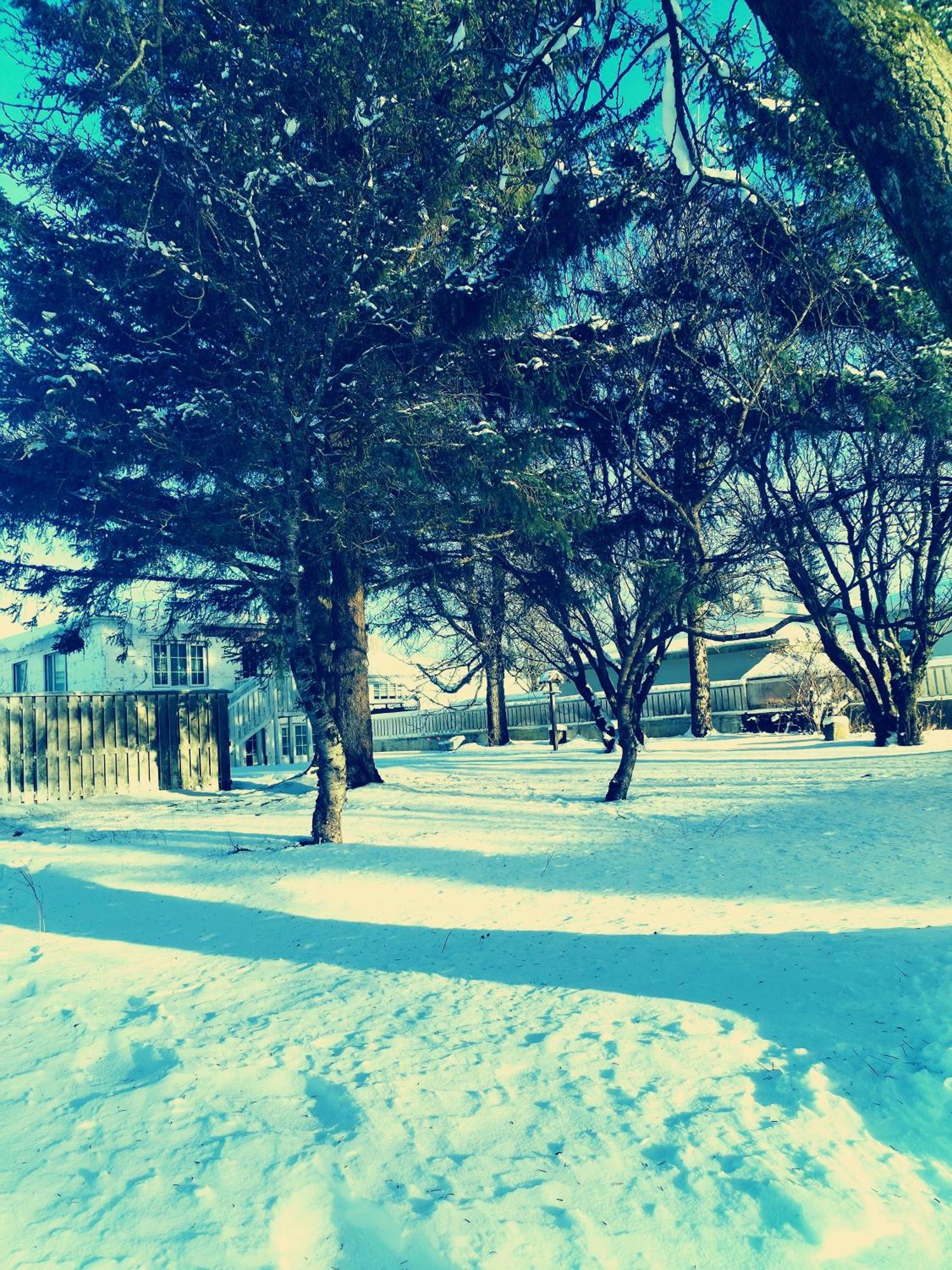 Selfoss Hostel en B&B