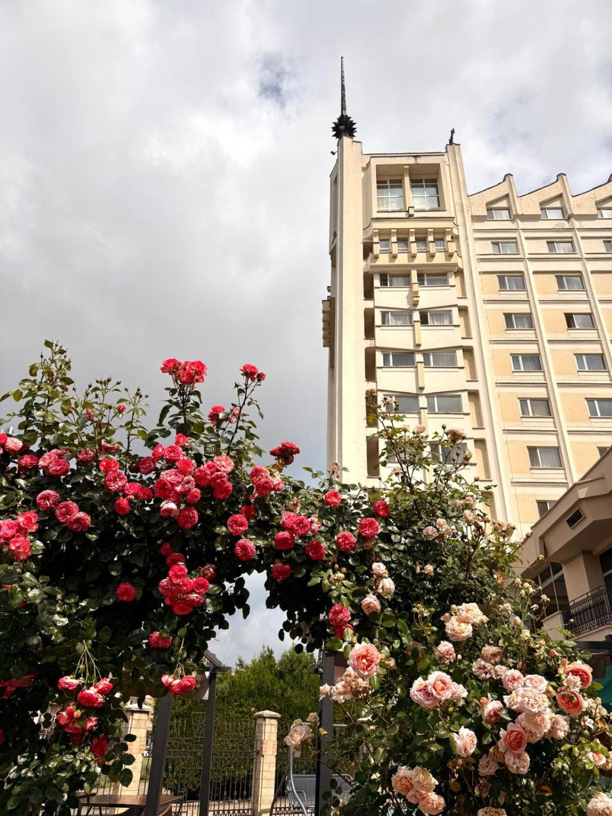 Top 10 Places To Stay in Baia Mare