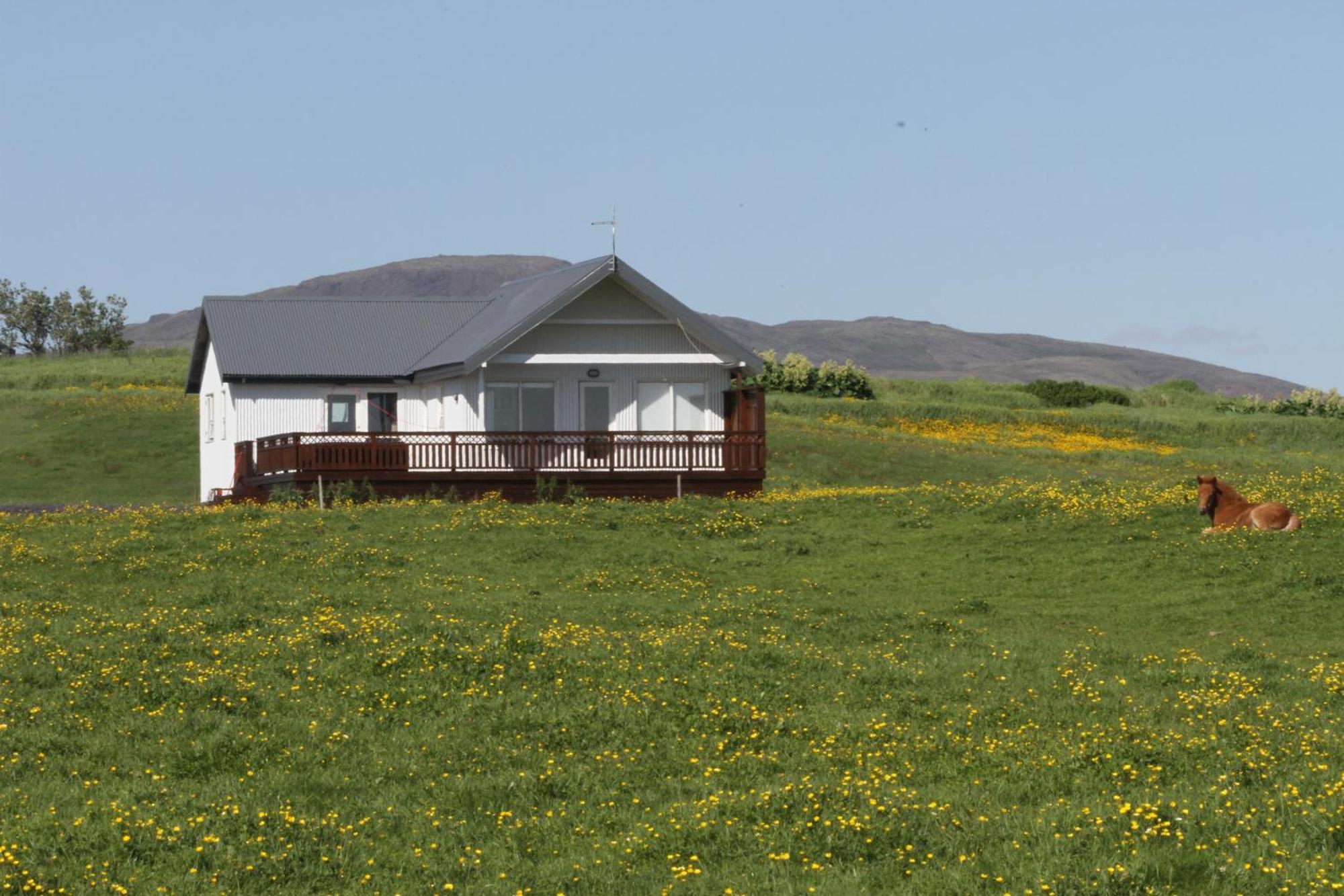 Stryta Guesthouse