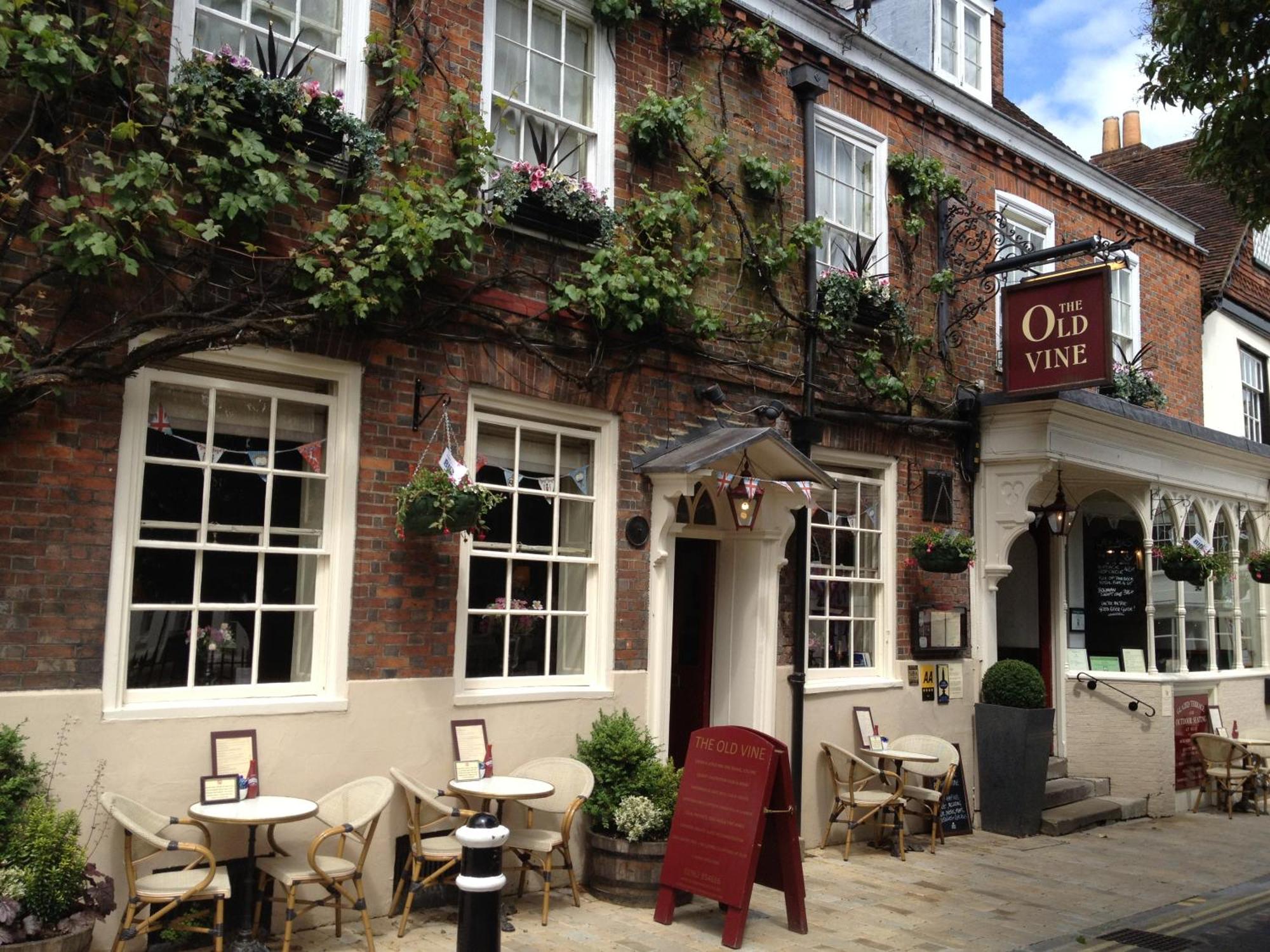8. The Old Vine