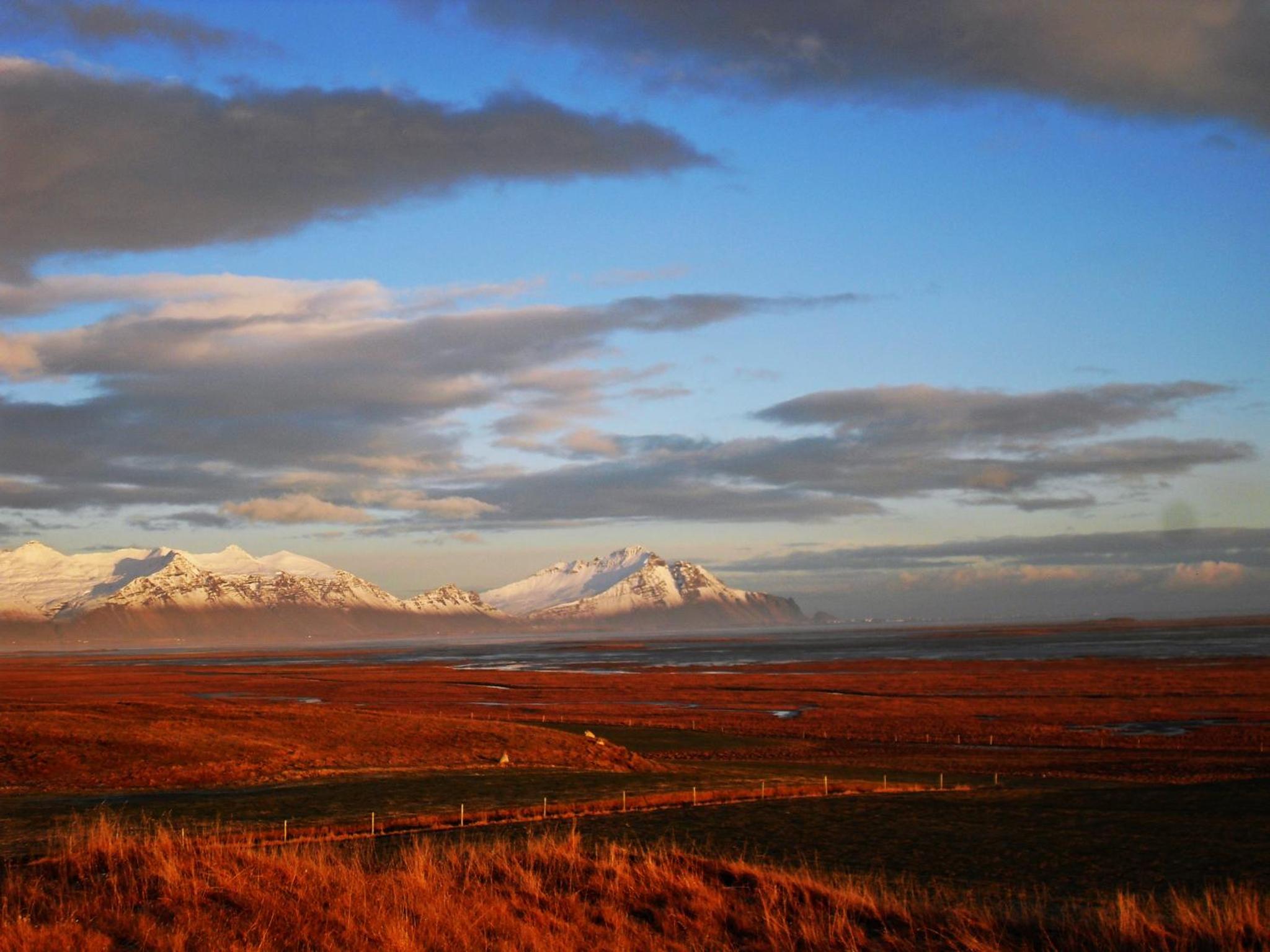 Nýpugarðar