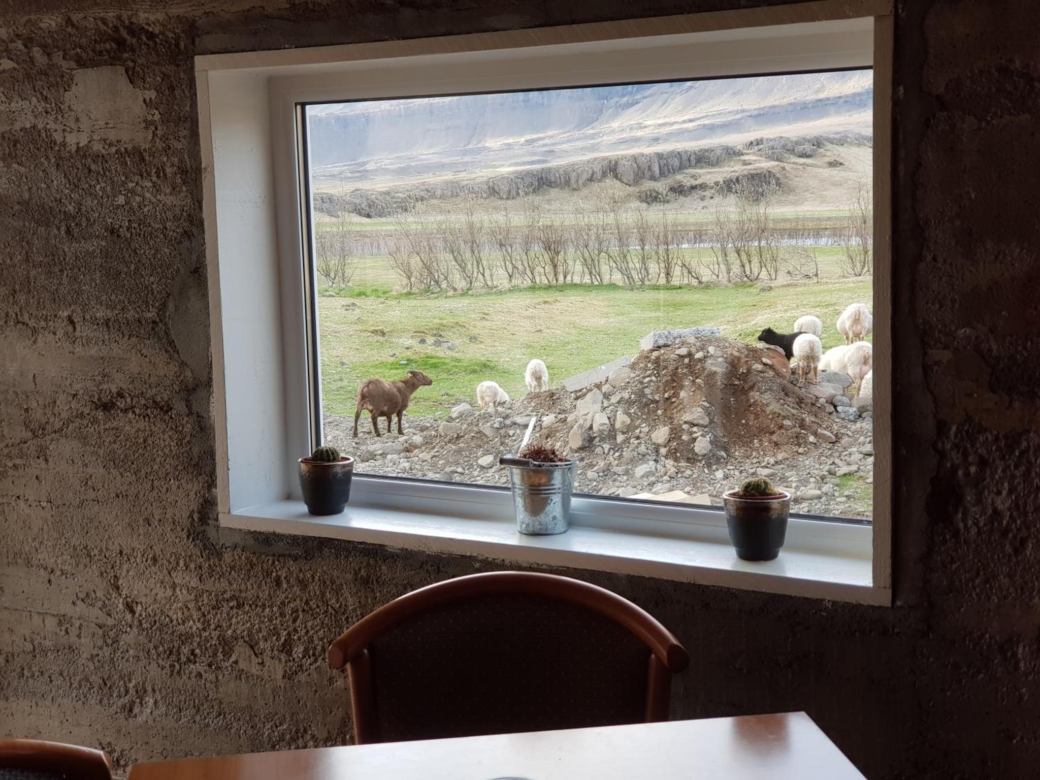 布拉格达维尔小屋酒店 | Bragdavellir Cottages