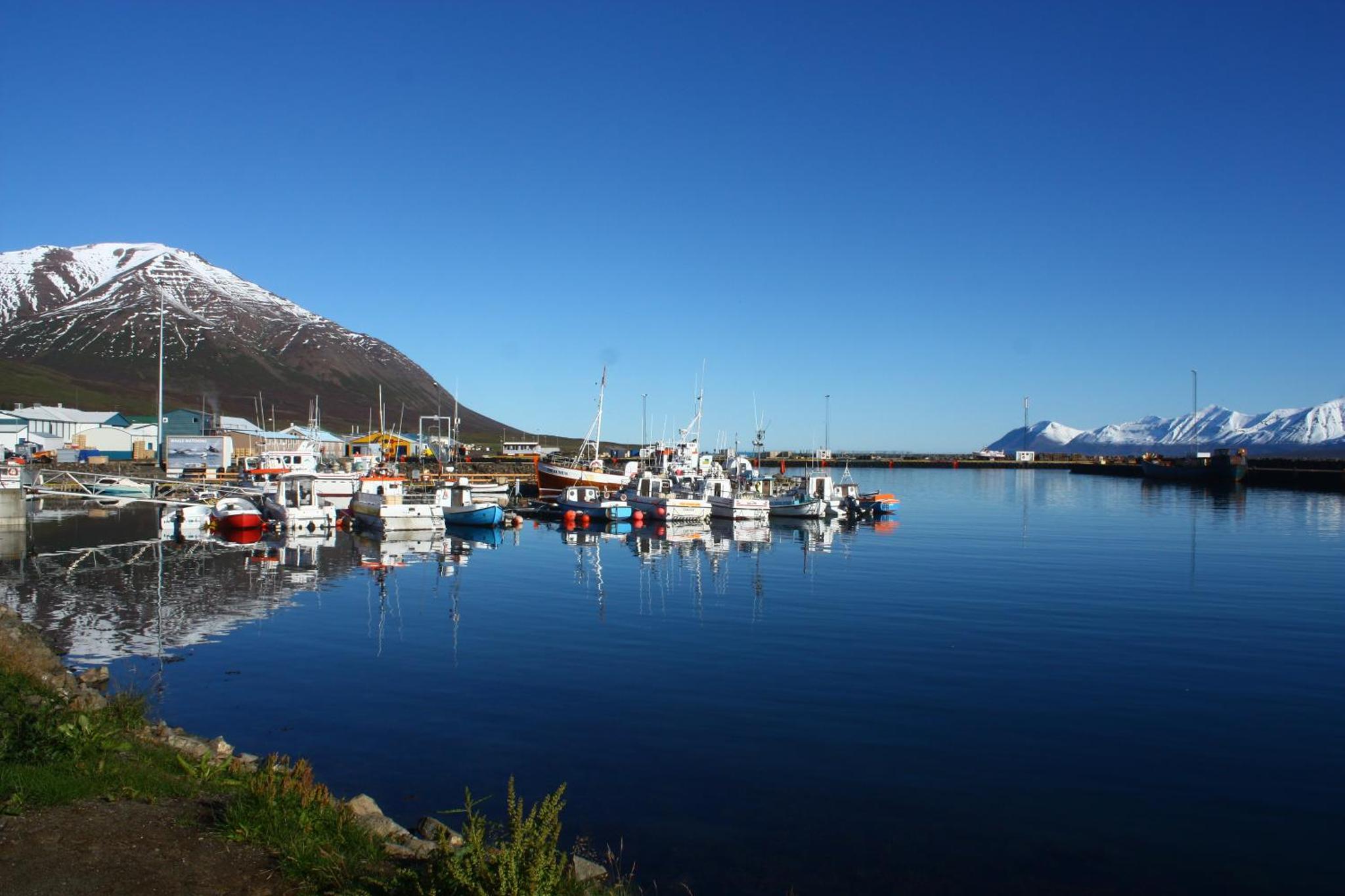 Dalvik Hostel Gimli