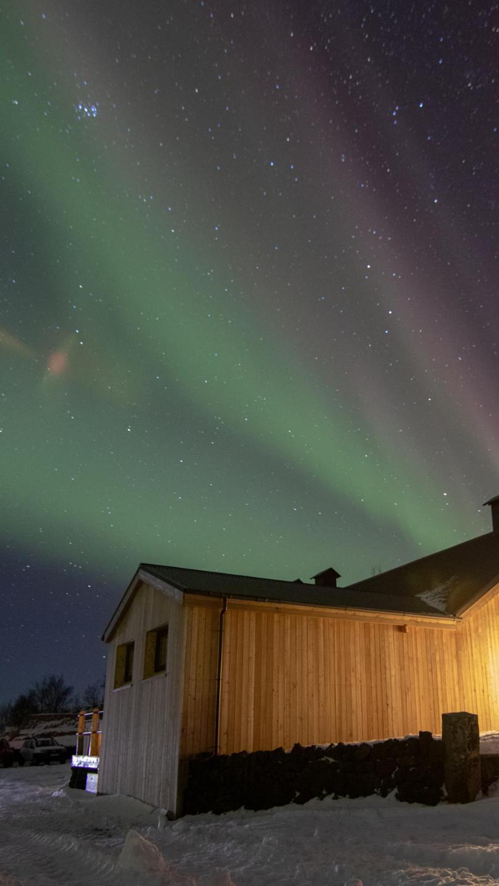 Dalshöfði Guesthouse