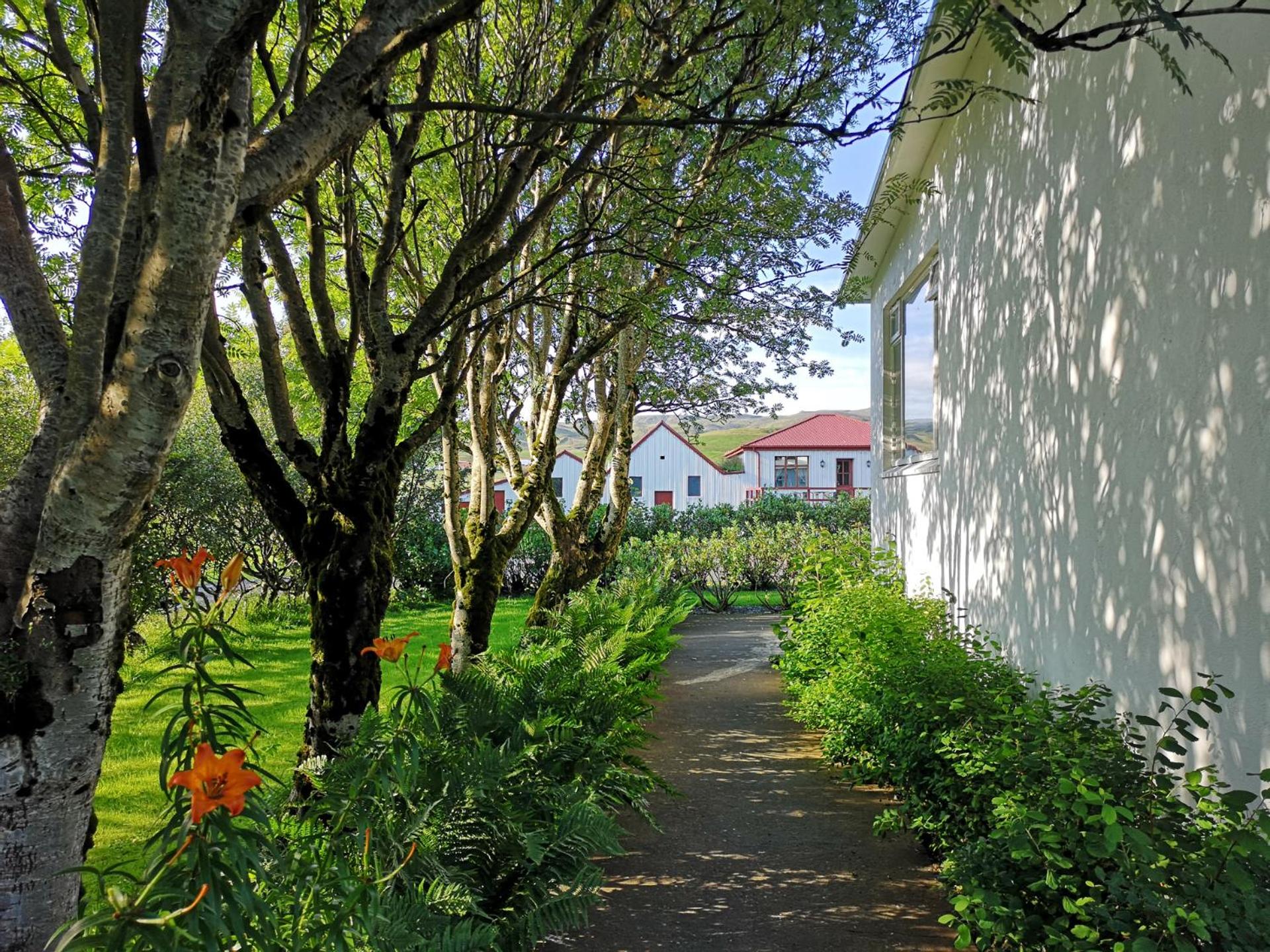 索尔黑玛加莱加旅馆 | Solheimahjaleiga Guesthouse