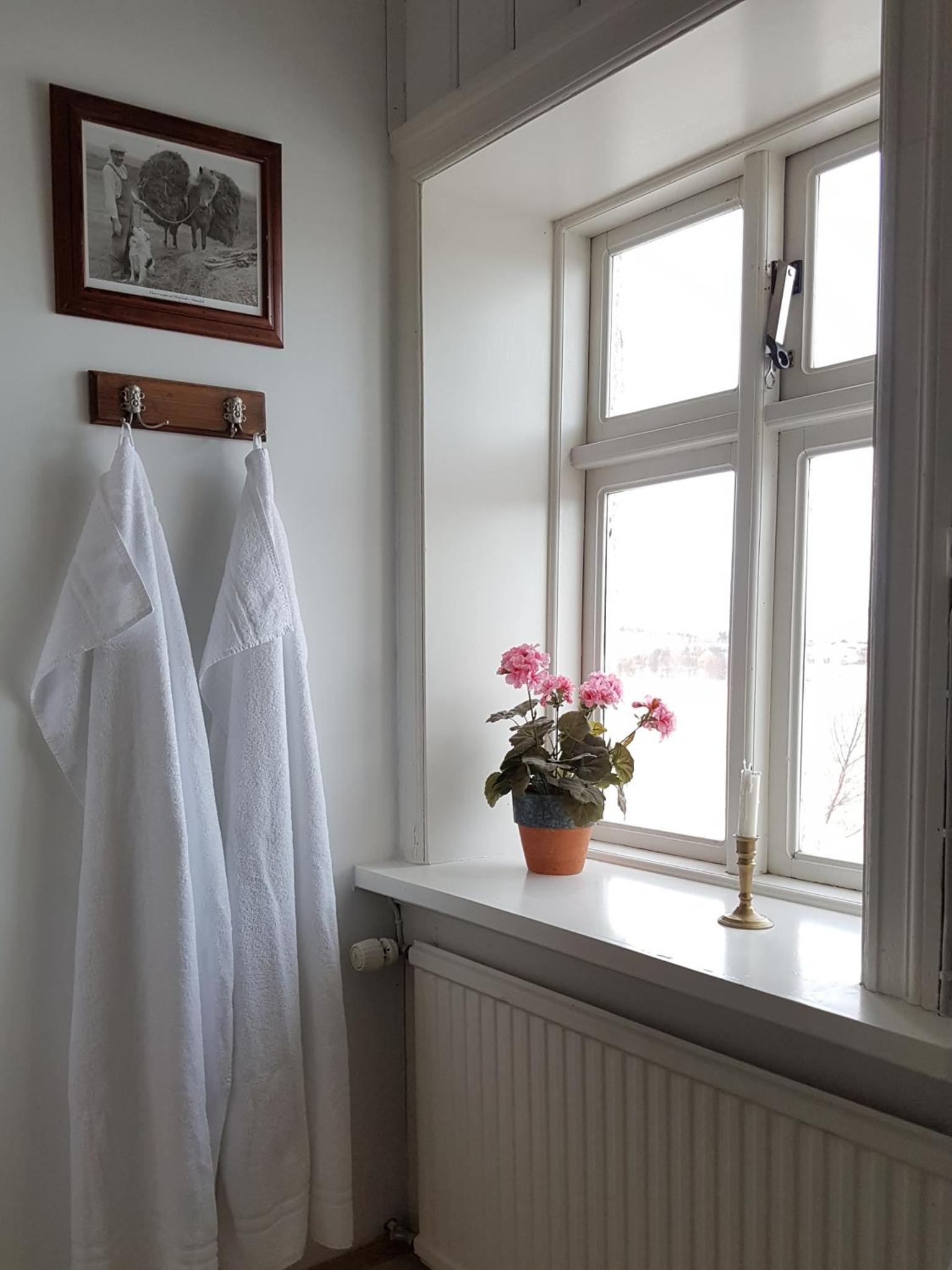 甘利贝尔旅馆(Guesthouse Gamli Bær)