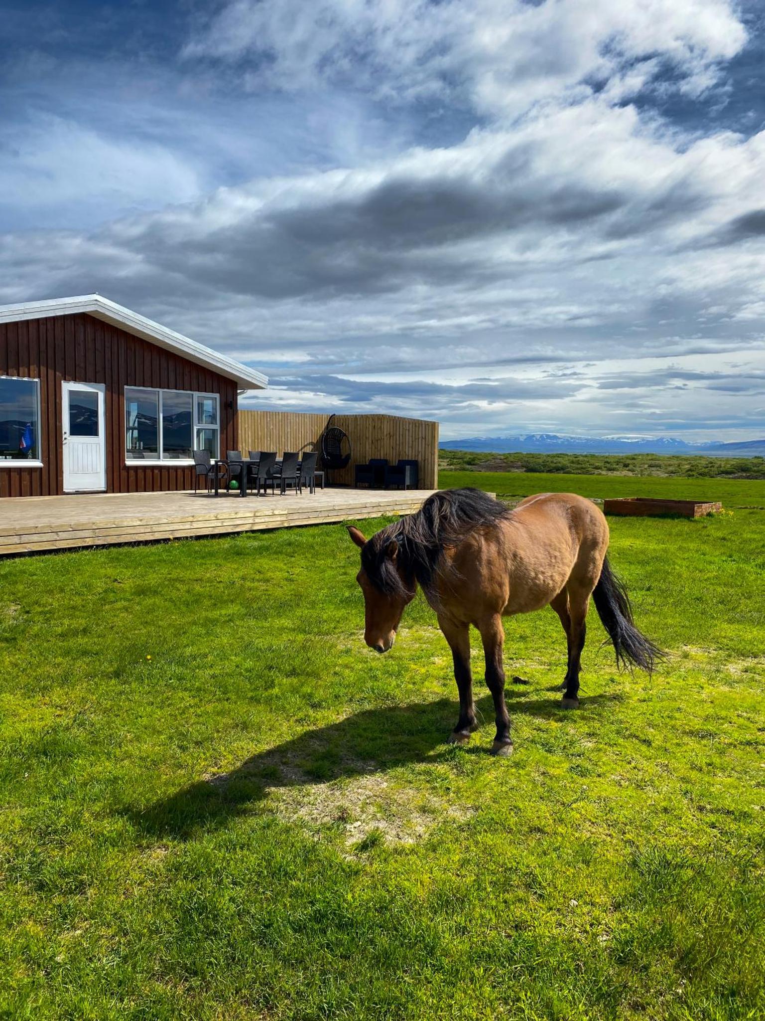 美しい家で体験する、アイスランド西部の大自然(Iceland West)