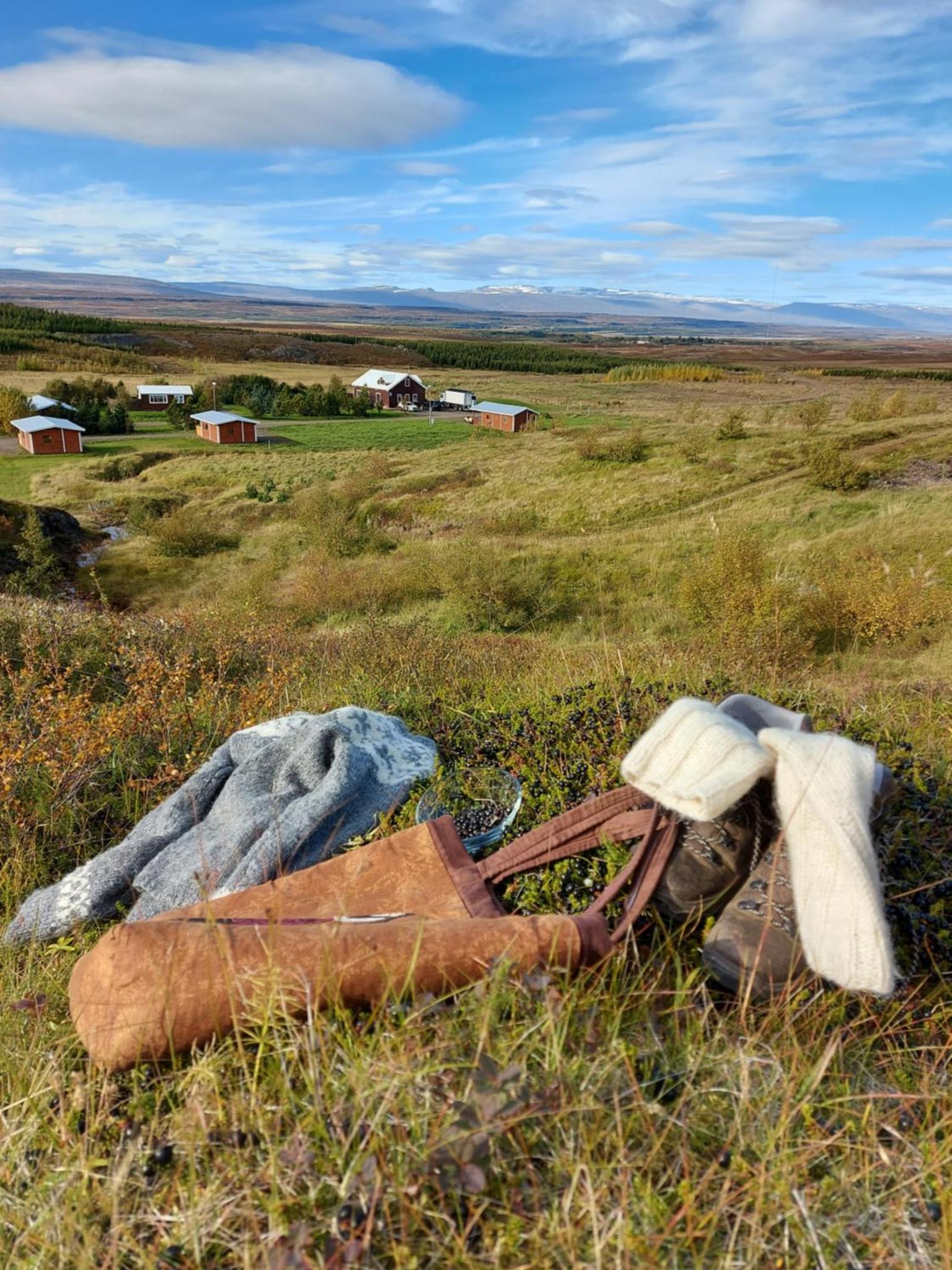 阿斯盖尔斯塔迪尔度假屋(Ásgeirsstaðir Holiday Homes)