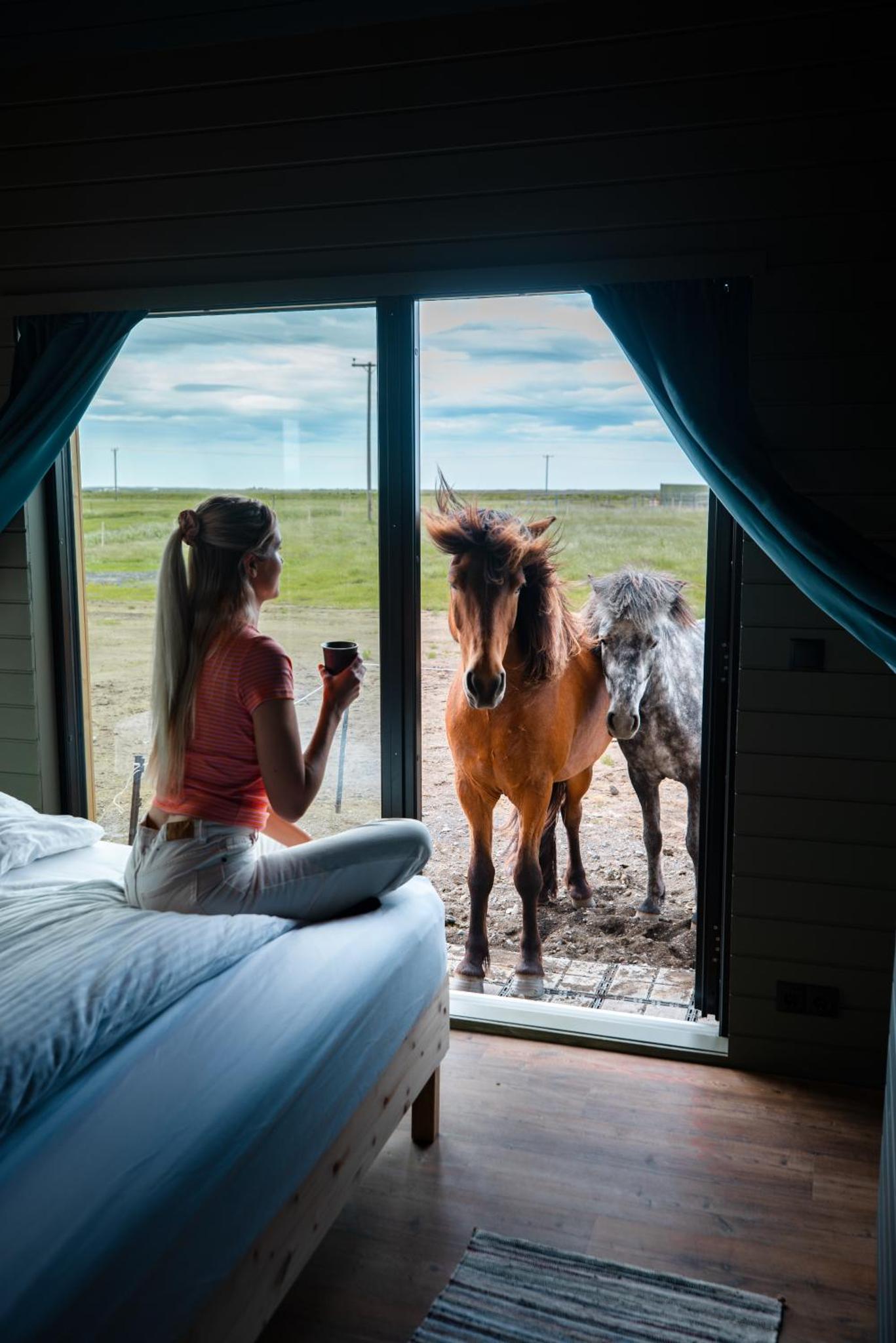 Sleeping with the Horses（スリーピング・ウィズ・ザ・ホーシズ）