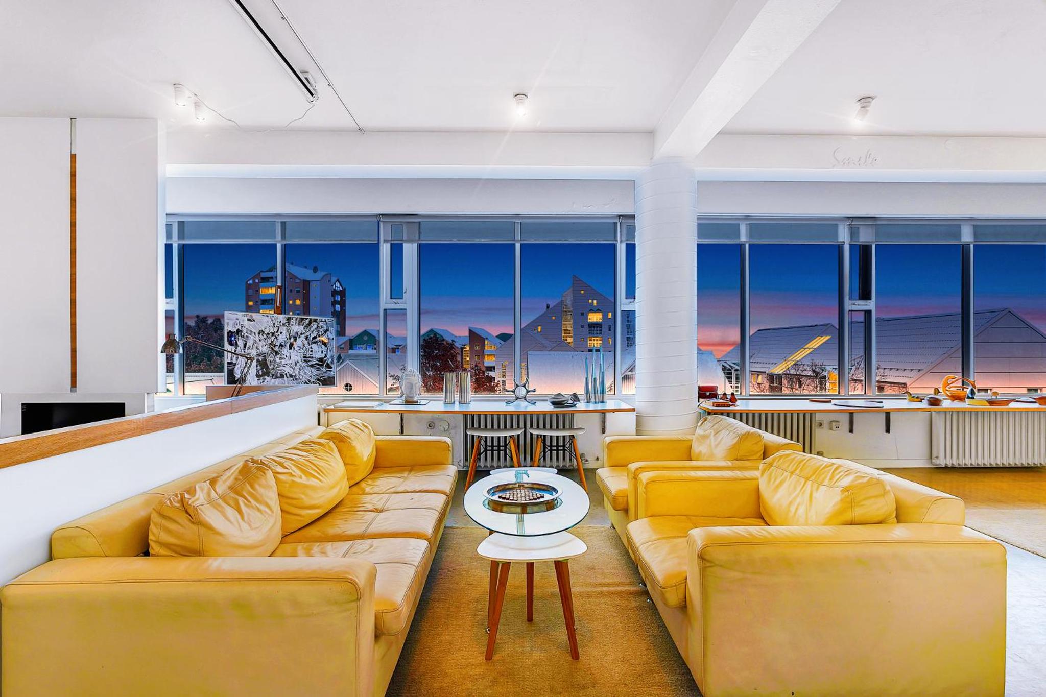 市中心三卧室公寓-山景和免费停车位（3BR City Center - Mountain View & Free Parking）