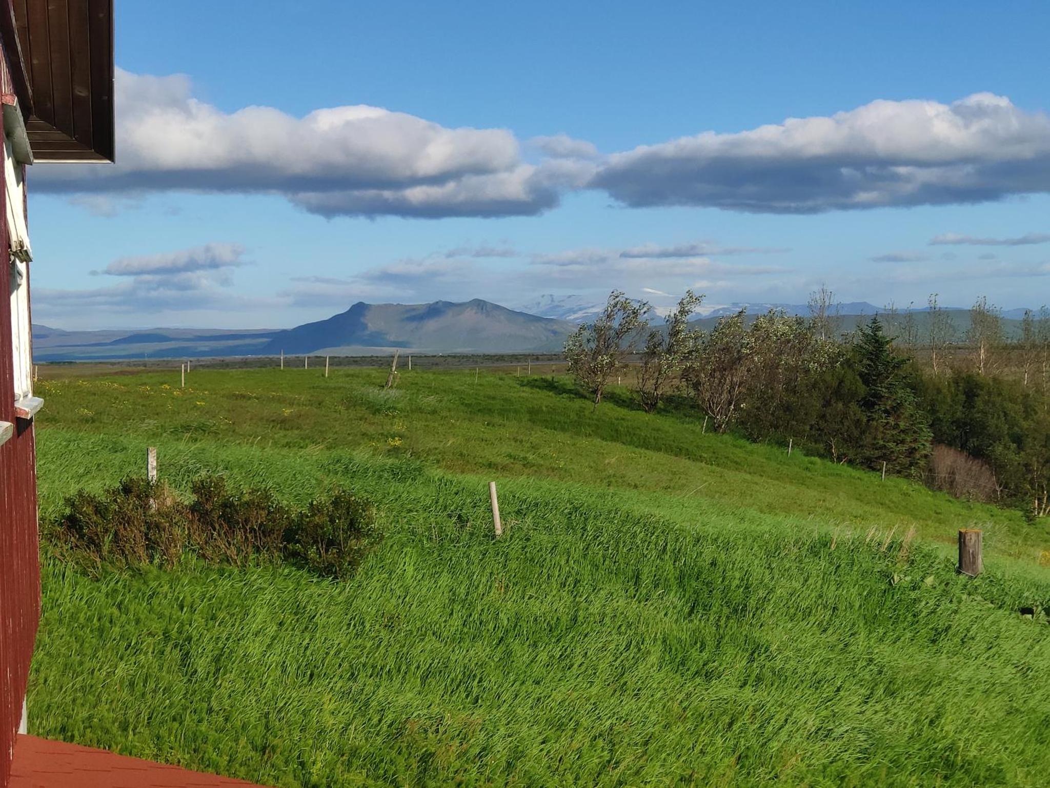 斯维特拉娜宾馆（Guest House Svetlana）